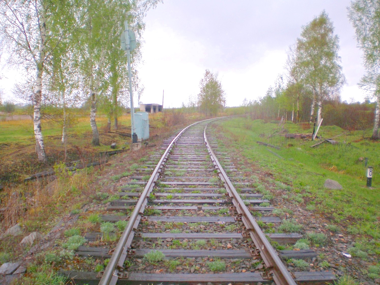 Железнодорожная линия Дорошиха — Васильевский Мох — фотографии, сделанные в 2008 году (часть 19)