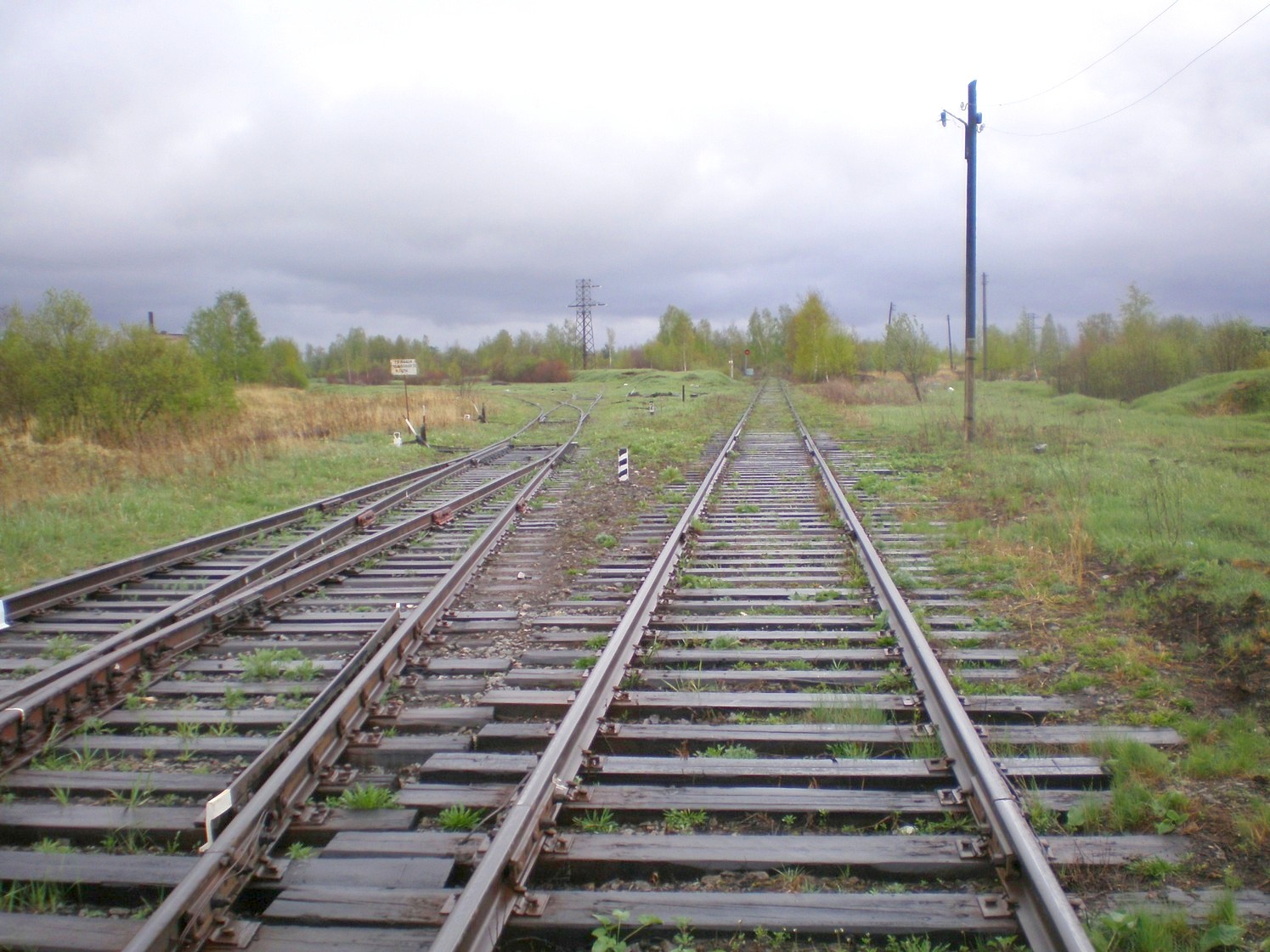 Железнодорожная линия Дорошиха — Васильевский Мох — фотографии, сделанные в 2008 году (часть 20)