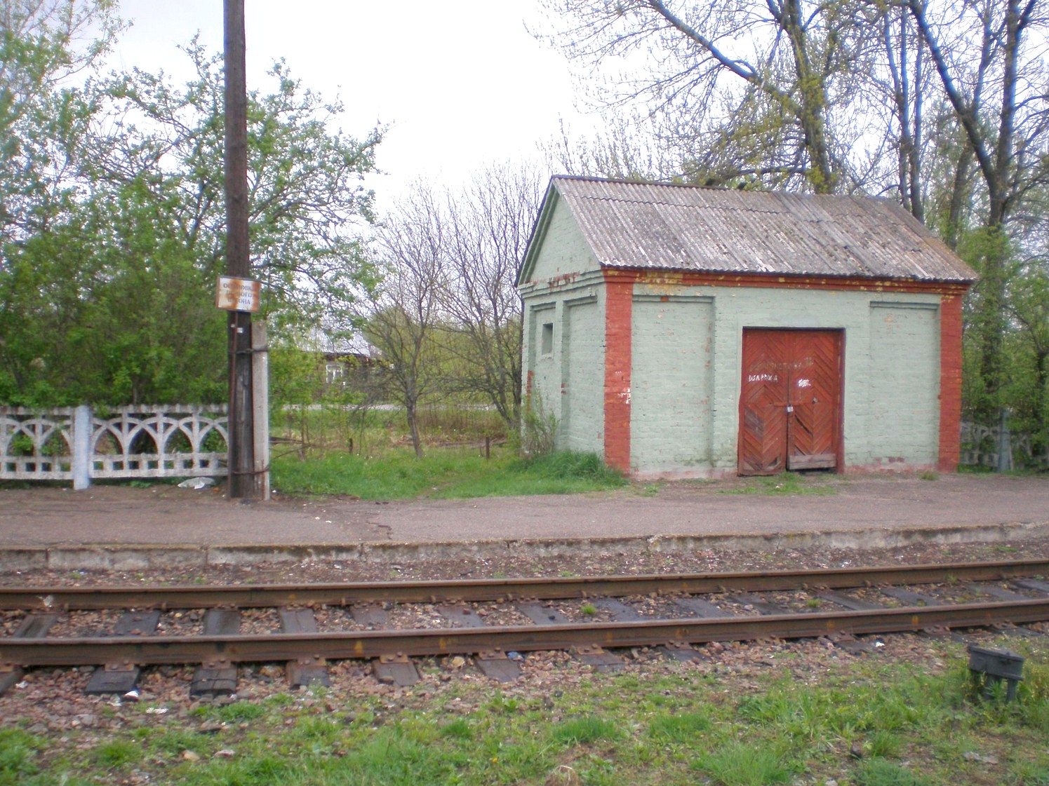 Железнодорожная линия Дорошиха — Васильевский Мох — фотографии, сделанные в 2008 году (часть 21)