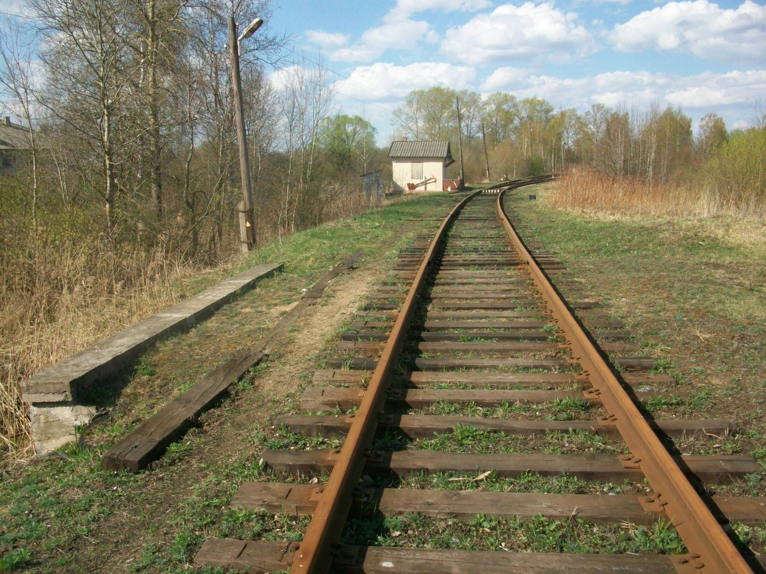 Железнодорожная линия Дорошиха — Васильевский Мох — фотографии, сделанные в 2014 году (часть 2)