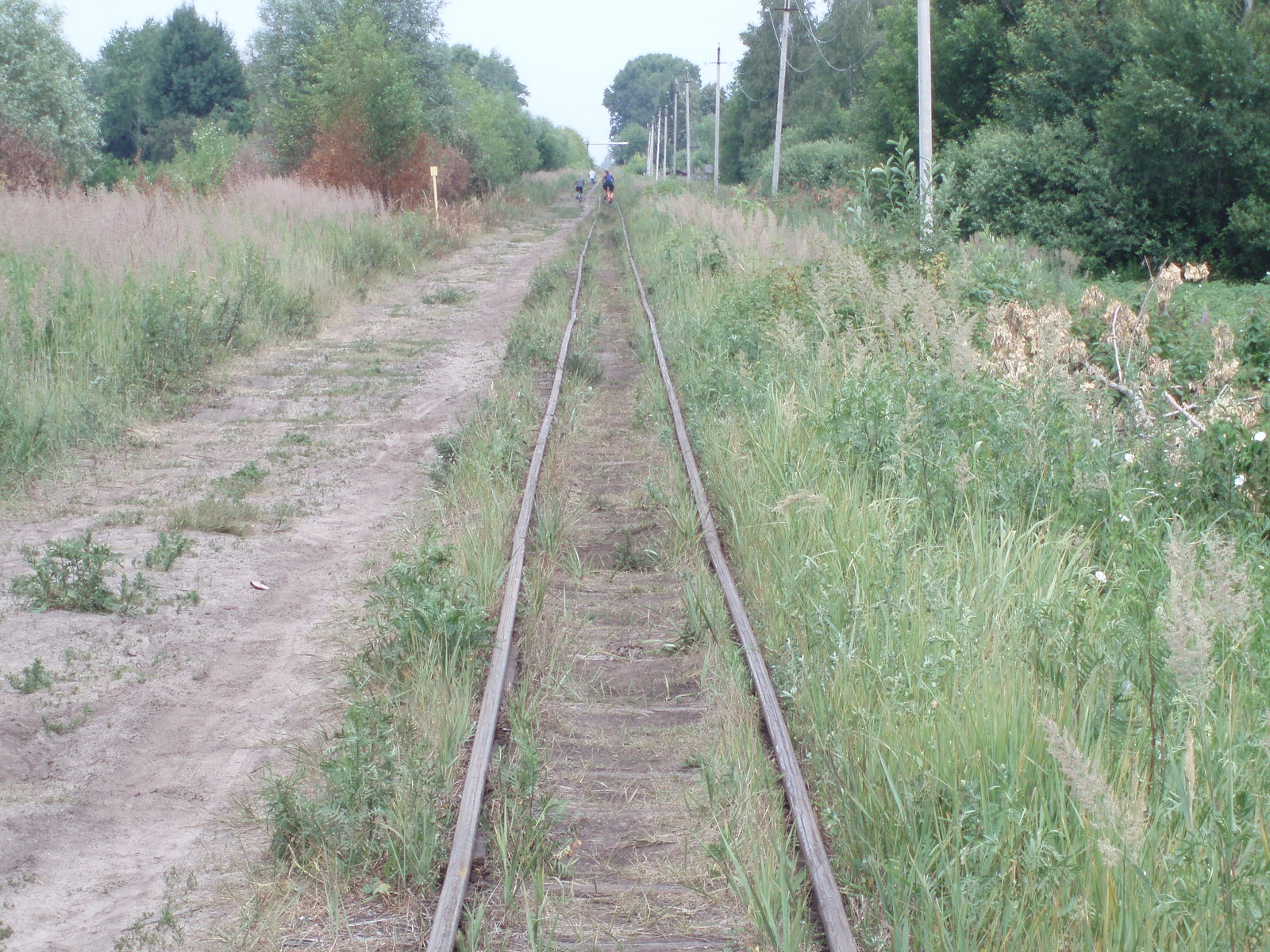 Узкоколейная железная дорога Шатурского транспортного управления — фотографии, сделанные в 2006 году (часть 6)