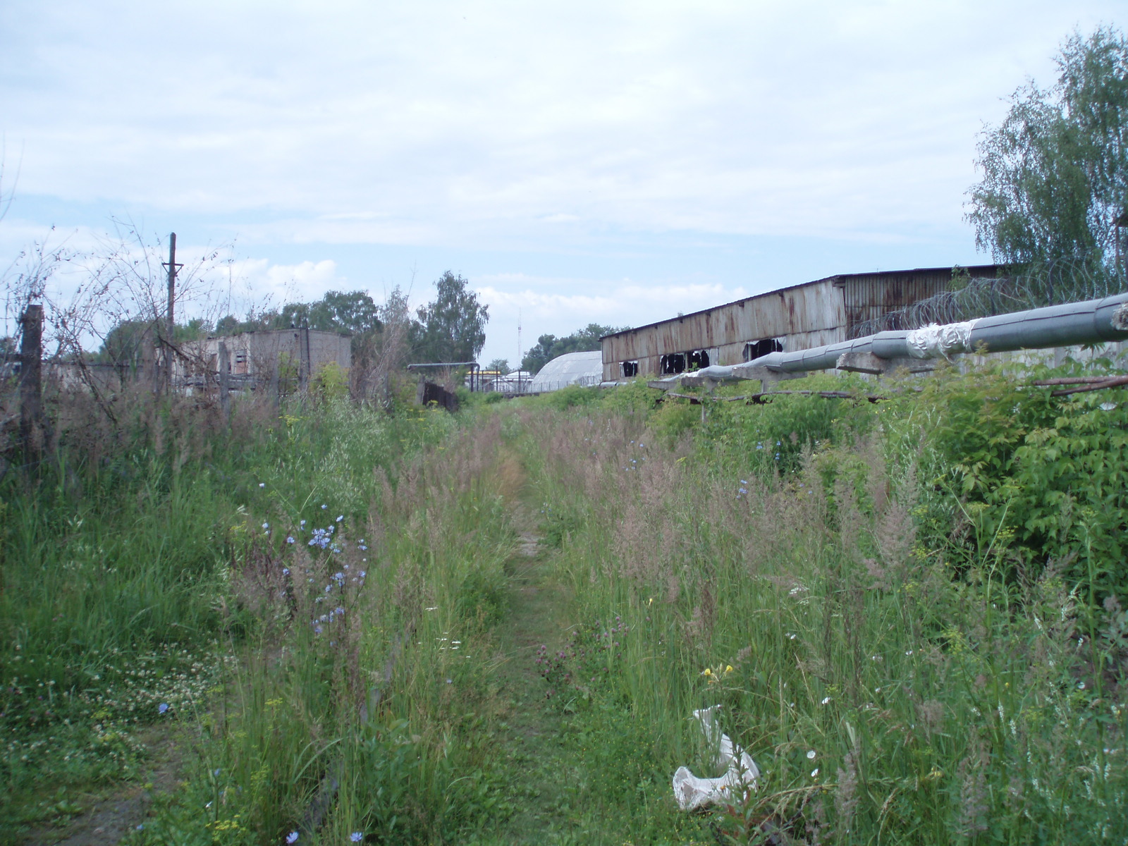 Узкоколейная железная дорога Шатурского транспортного управления — фотографии, сделанные в 2006 году (часть 2)