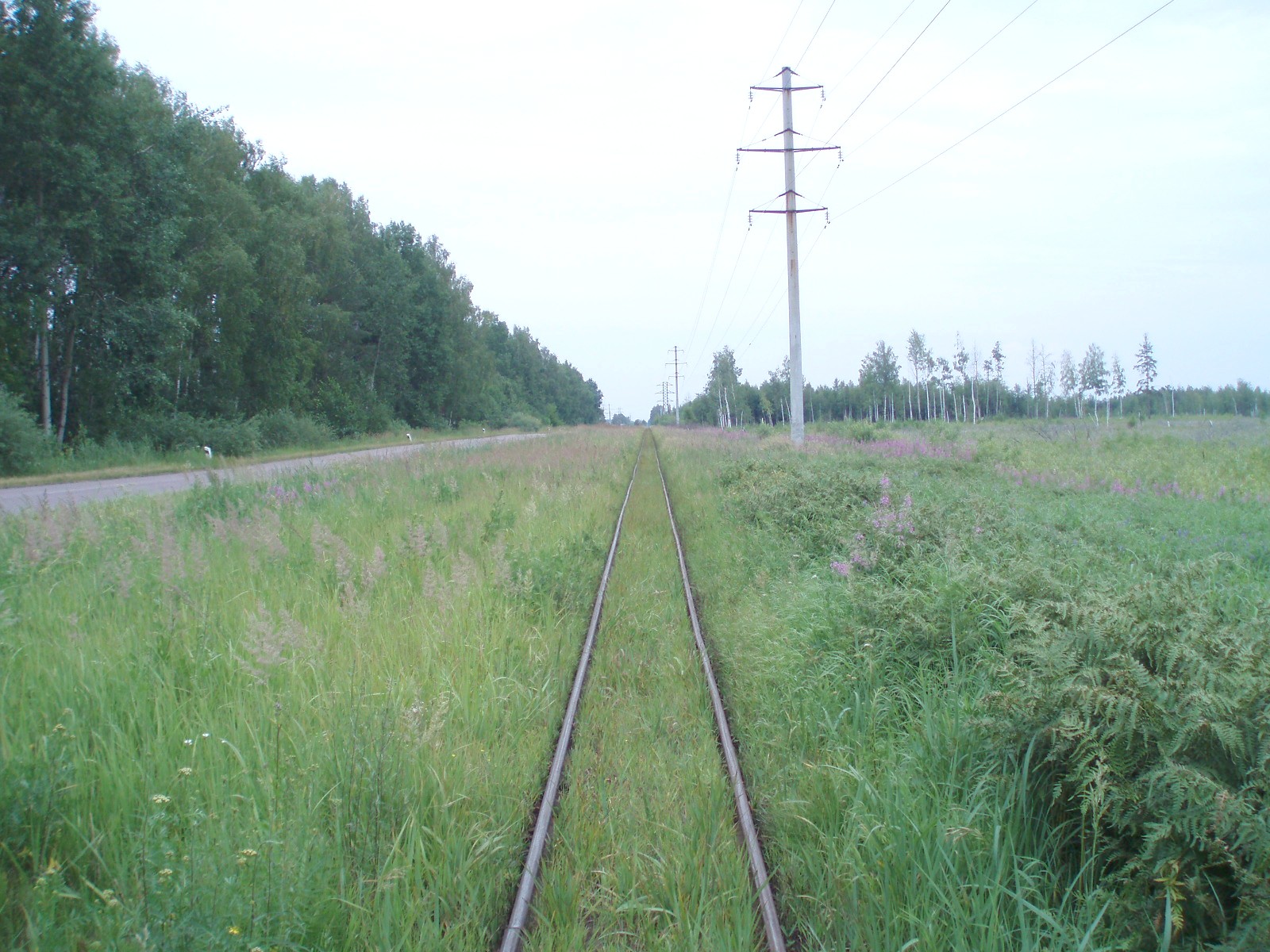 Узкоколейная железная дорога Шатурского транспортного управления — фотографии, сделанные в 2006 году (часть 13)