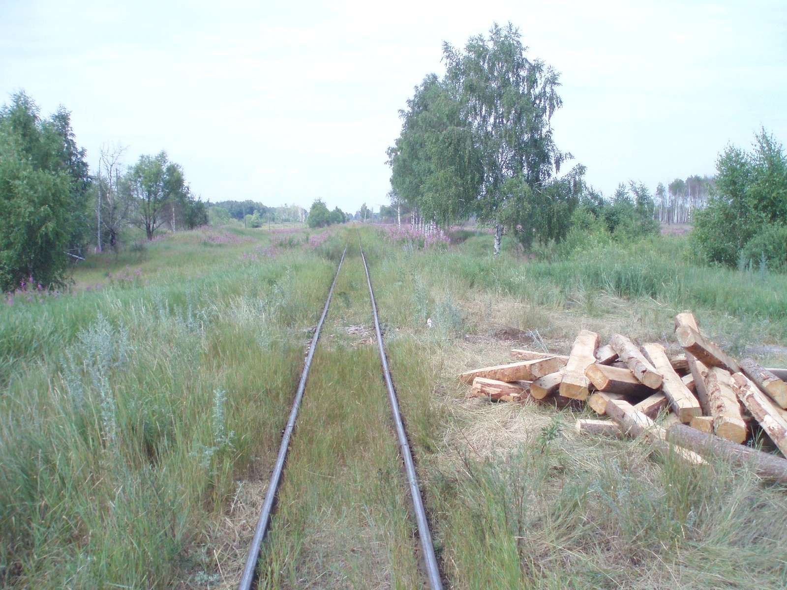 Узкоколейная железная дорога Шатурского транспортного управления — фотографии, сделанные в 2006 году (часть 15)