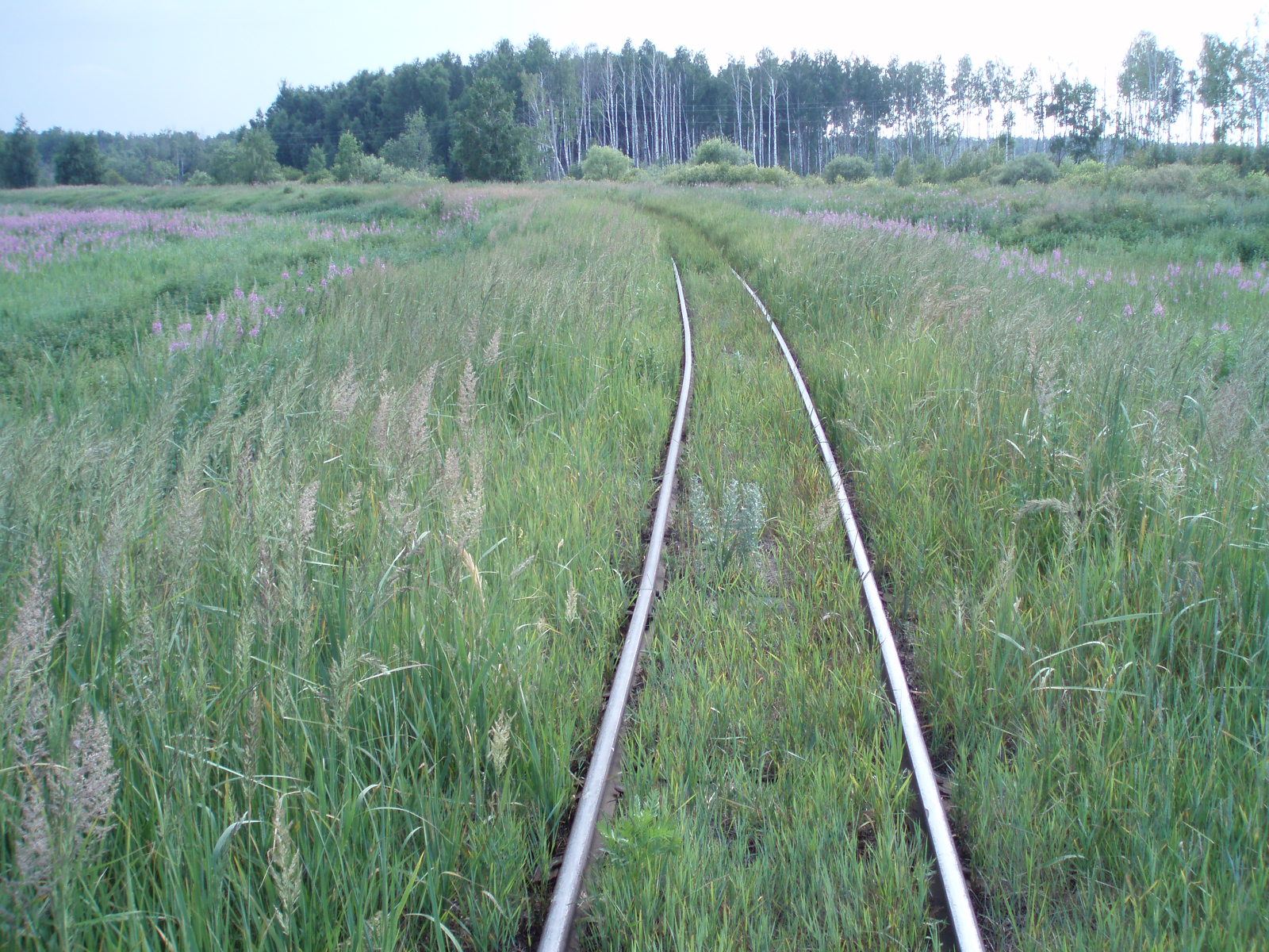 Узкоколейная железная дорога Шатурского транспортного управления — фотографии, сделанные в 2006 году (часть 17)