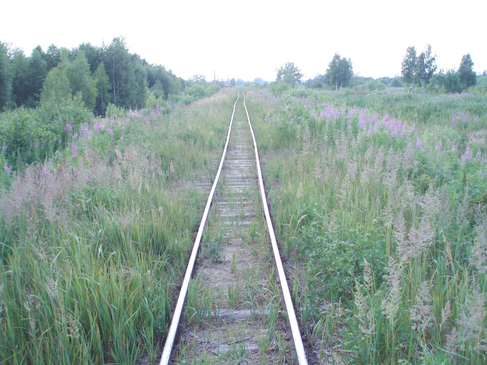Узкоколейная железная дорога Шатурского транспортного управления — фотографии, сделанные в 2006 году (часть 18)