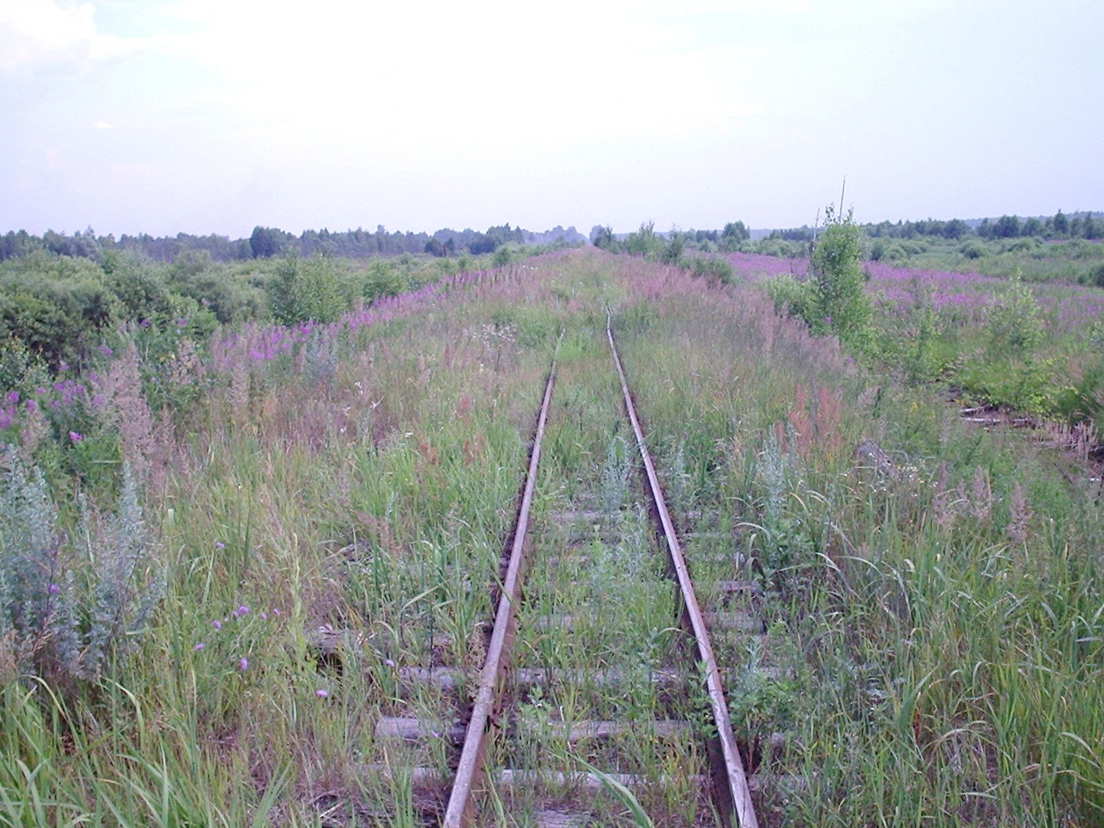 Узкоколейная железная дорога Шатурского транспортного управления — фотографии, сделанные в 2006 году (часть 20)