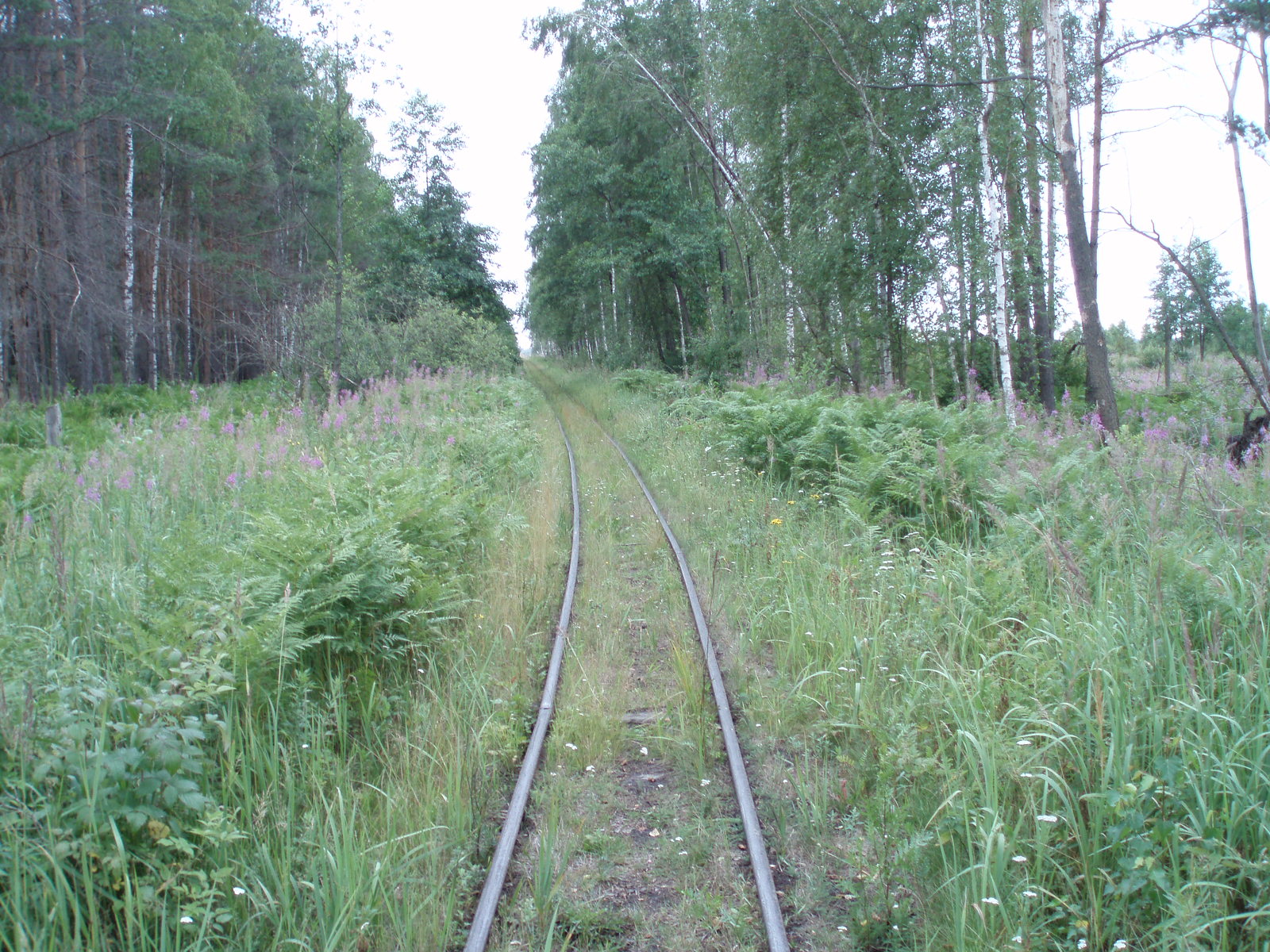 Узкоколейная железная дорога Шатурского транспортного управления — фотографии, сделанные в 2006 году (часть 21)