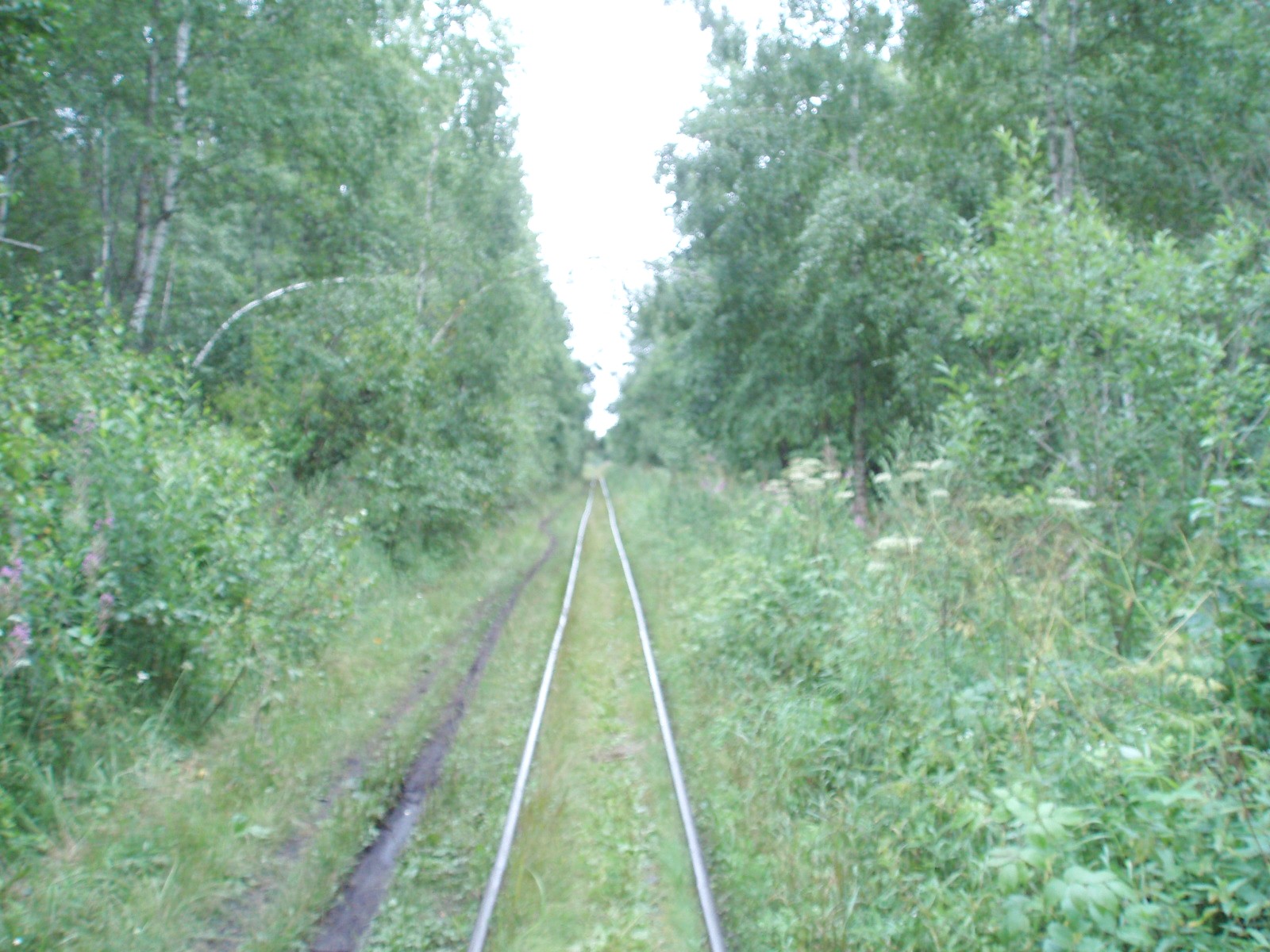 Узкоколейная железная дорога Шатурского транспортного управления — фотографии, сделанные в 2006 году (часть 22)