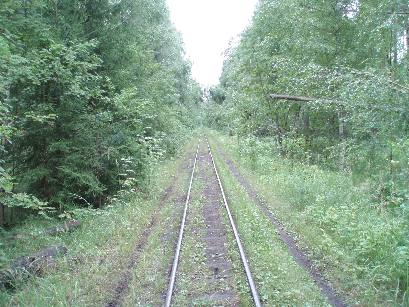 Узкоколейная железная дорога Шатурского транспортного управления — фотографии, сделанные в 2006 году (часть 23)