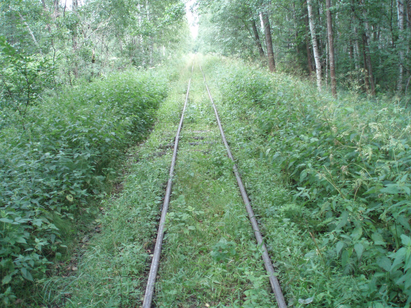 Узкоколейная железная дорога Шатурского транспортного управления — фотографии, сделанные в 2006 году (часть 25)