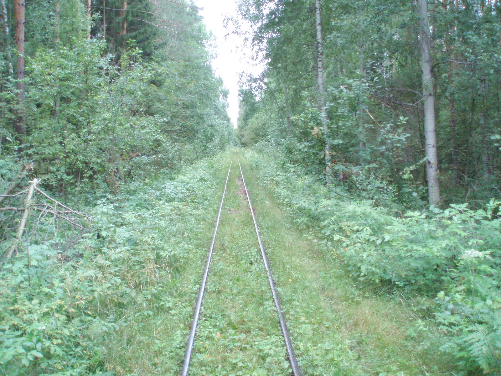 Узкоколейная железная дорога Шатурского транспортного управления — фотографии, сделанные в 2006 году (часть 26)
