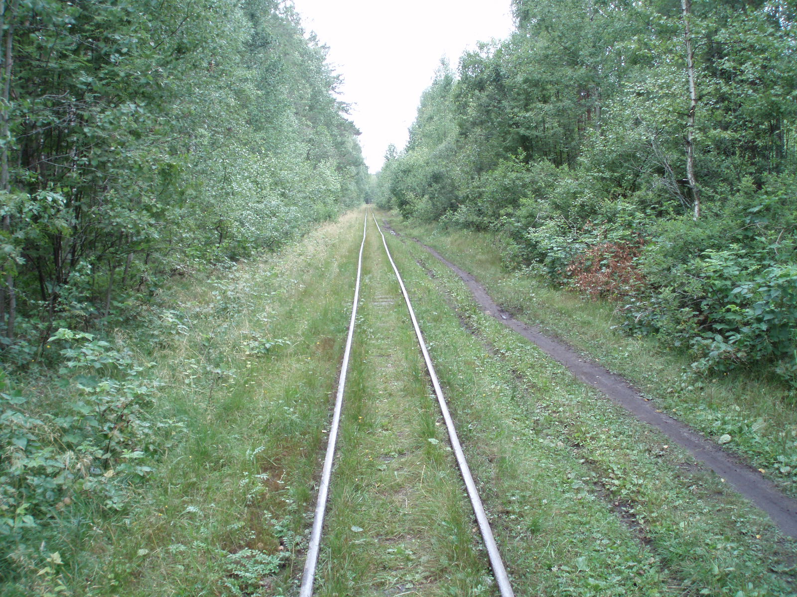 Узкоколейная железная дорога Шатурского транспортного управления — фотографии, сделанные в 2006 году (часть 27)