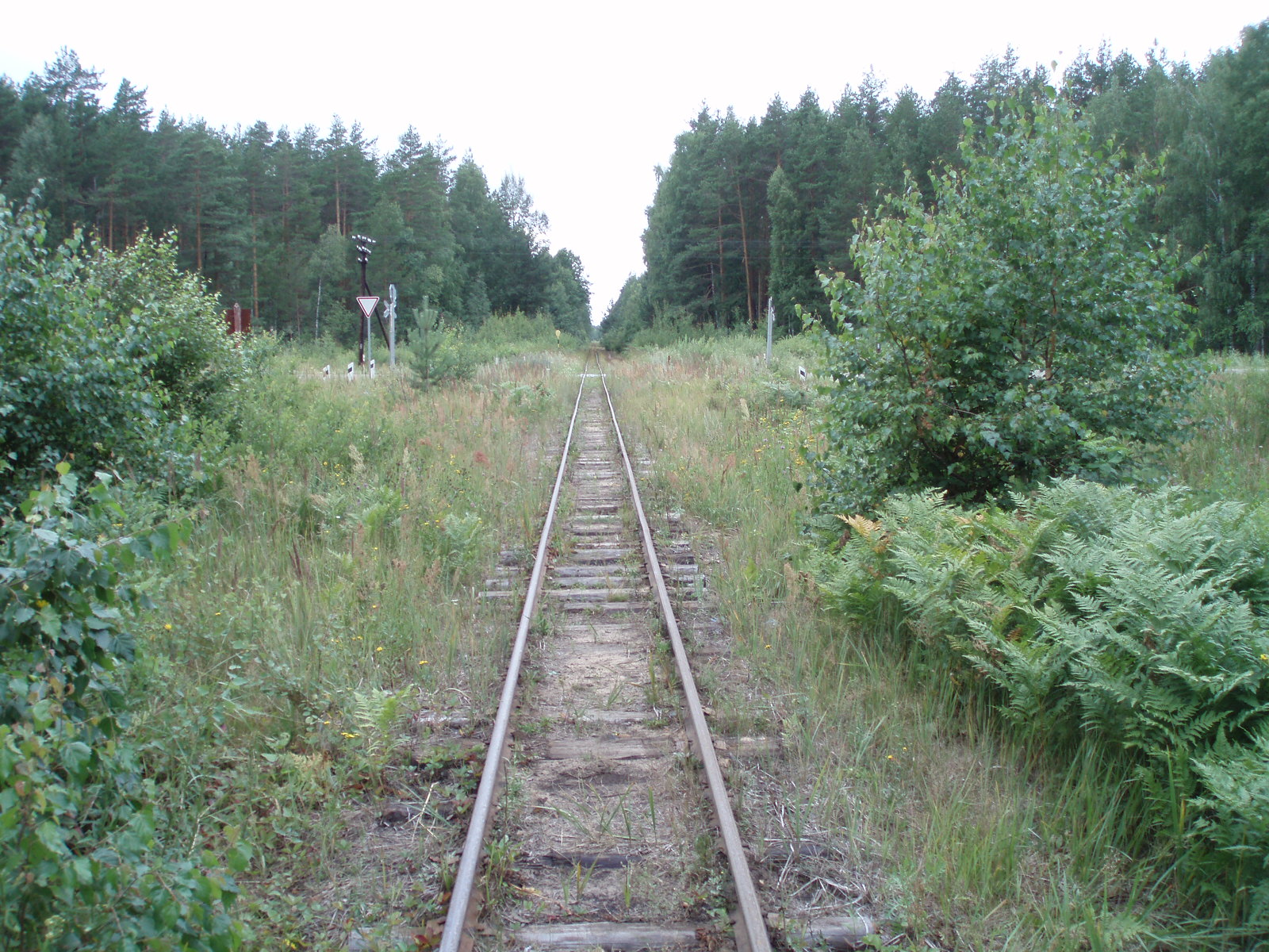 Узкоколейная железная дорога Шатурского транспортного управления — фотографии, сделанные в 2006 году (часть 30)