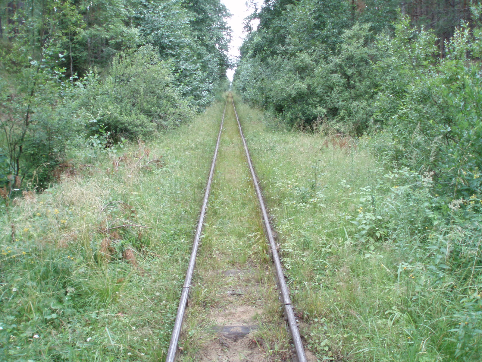 Узкоколейная железная дорога Шатурского транспортного управления — фотографии, сделанные в 2006 году (часть 31)