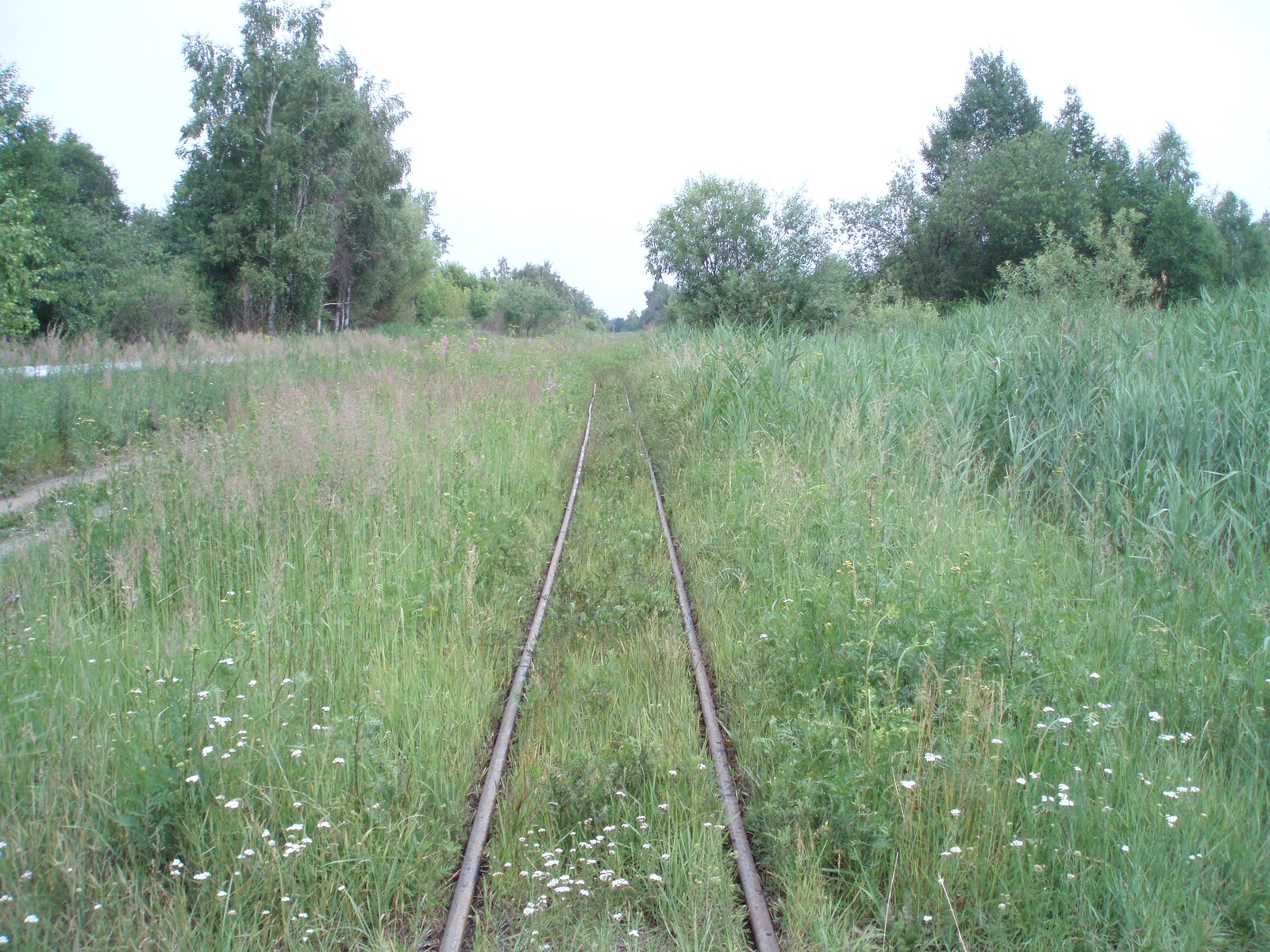 Узкоколейная железная дорога Шатурского транспортного управления — фотографии, сделанные в 2006 году (часть 4)