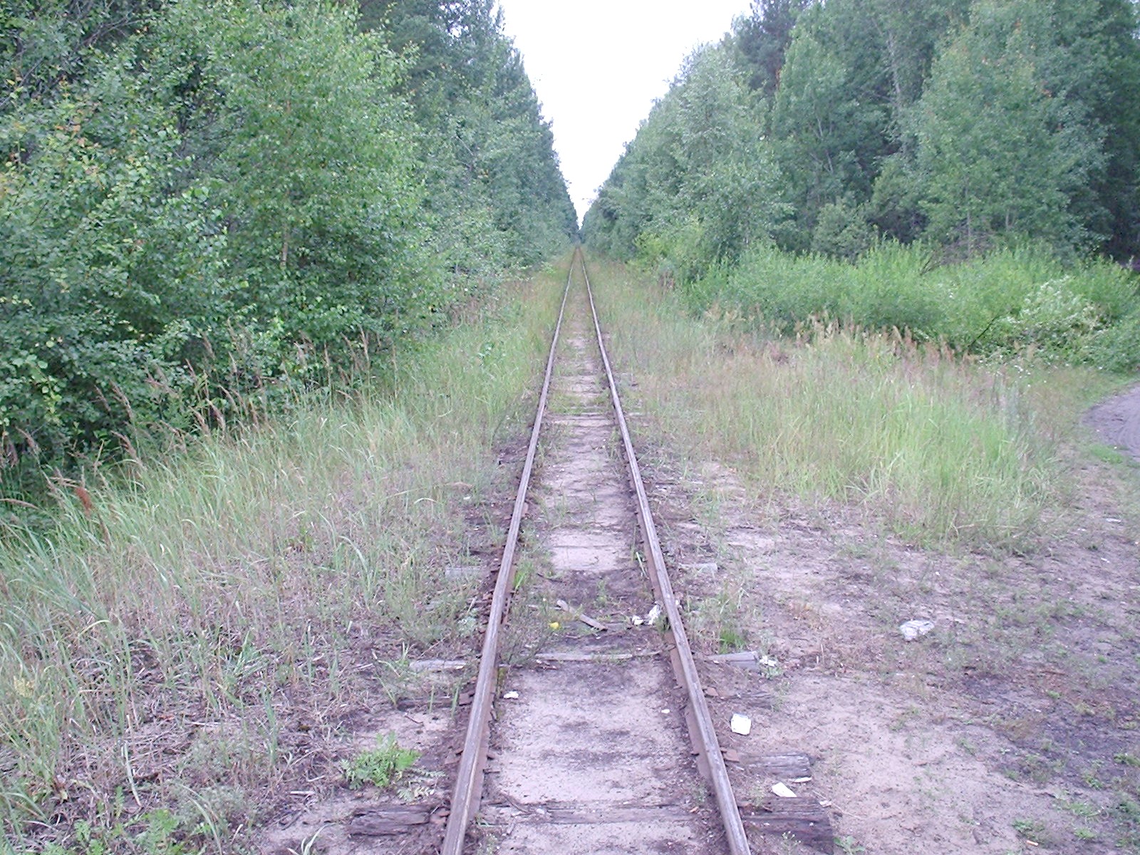 Узкоколейная железная дорога Шатурского транспортного управления — фотографии, сделанные в 2006 году (часть 32)