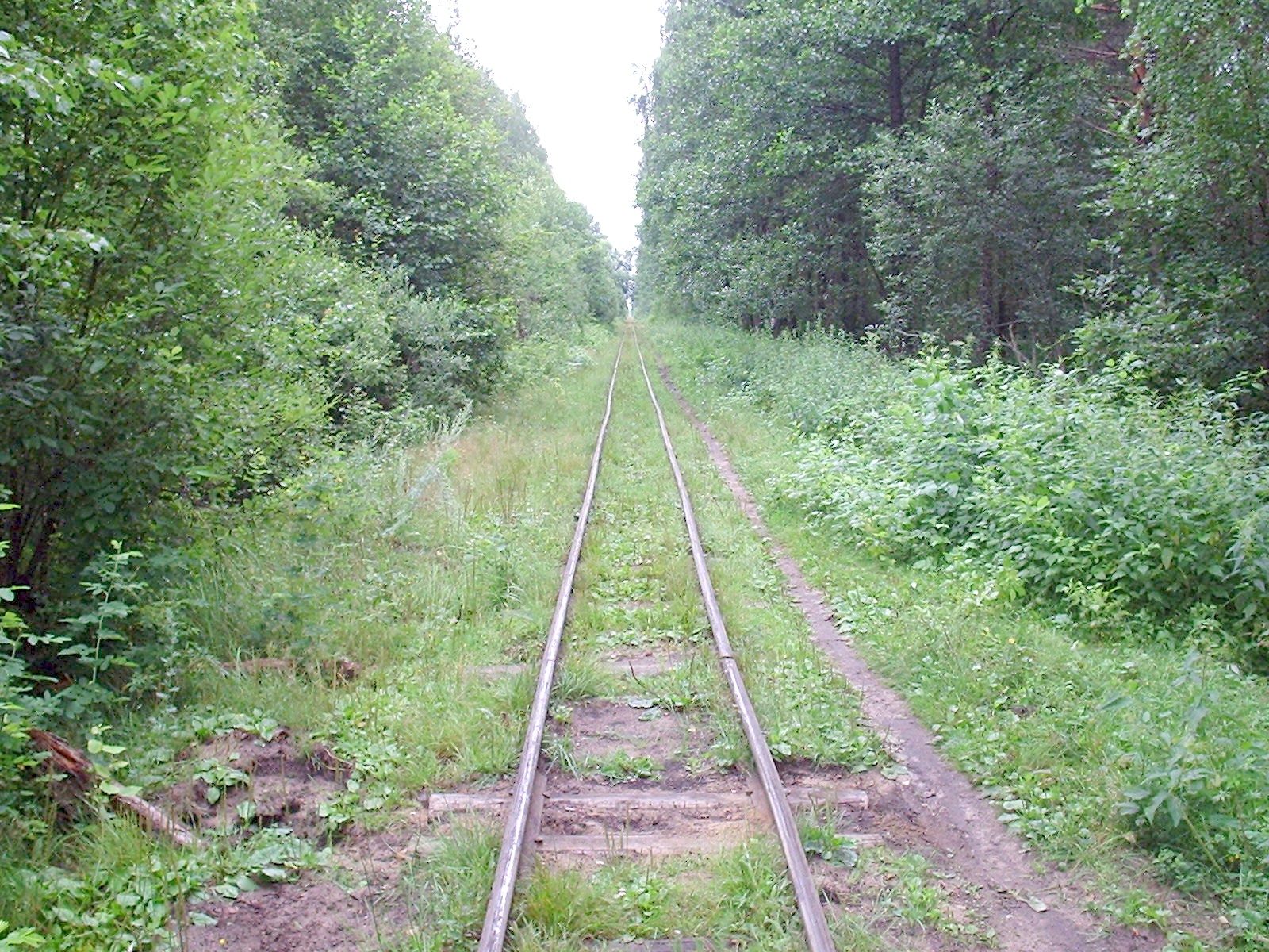 Узкоколейная железная дорога Шатурского транспортного управления — фотографии, сделанные в 2006 году (часть 33)