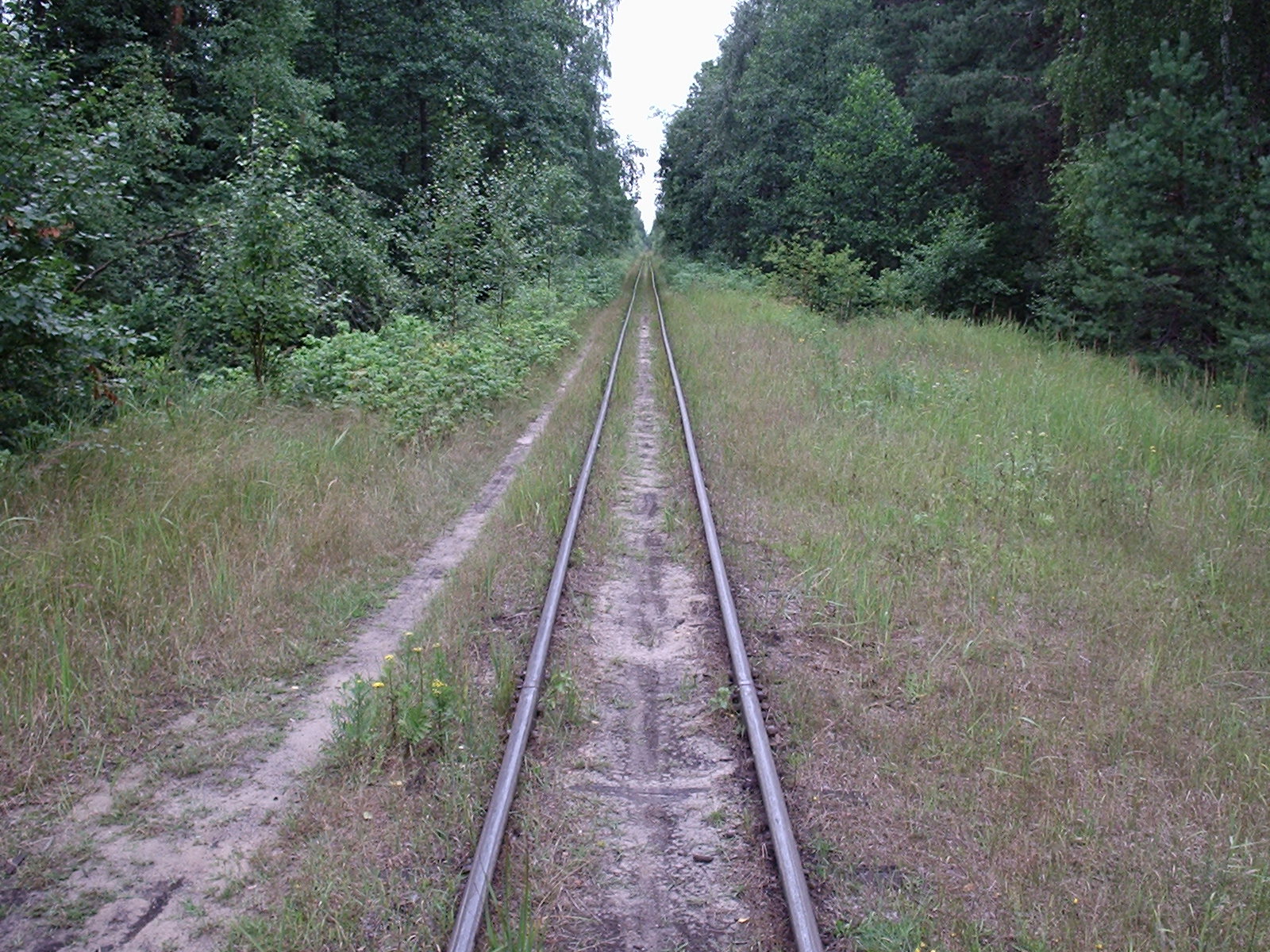 Узкоколейная железная дорога Шатурского транспортного управления — фотографии, сделанные в 2006 году (часть 35)