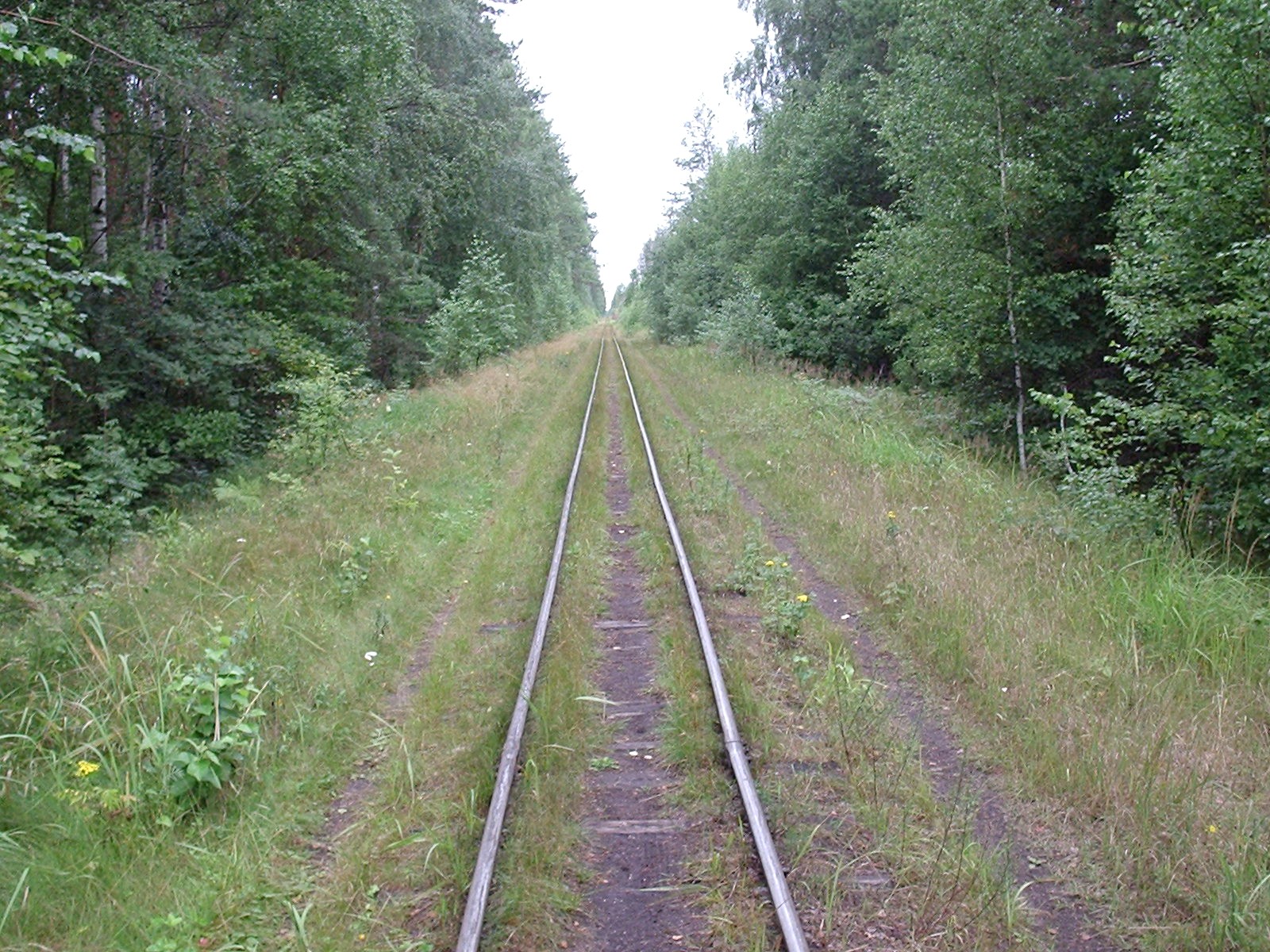 Узкоколейная железная дорога Шатурского транспортного управления — фотографии, сделанные в 2006 году (часть 37)