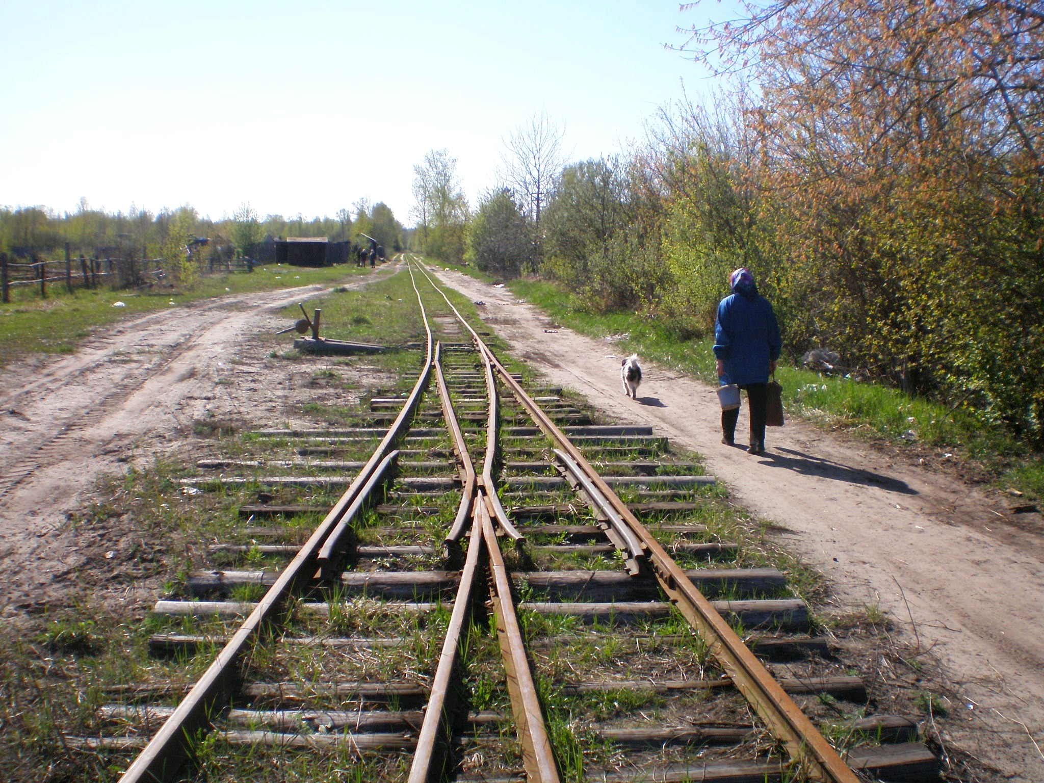 Узкоколейная железная дорога Шатурского транспортного управления — фотографии, сделанные в 2008 году (часть 4)