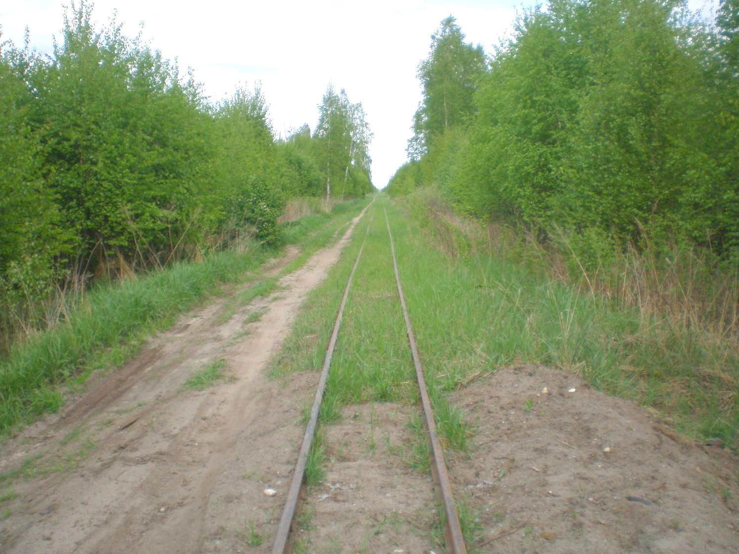 Узкоколейная железная дорога Шатурского транспортного управления — фотографии, сделанные в 2009 году (часть 10)