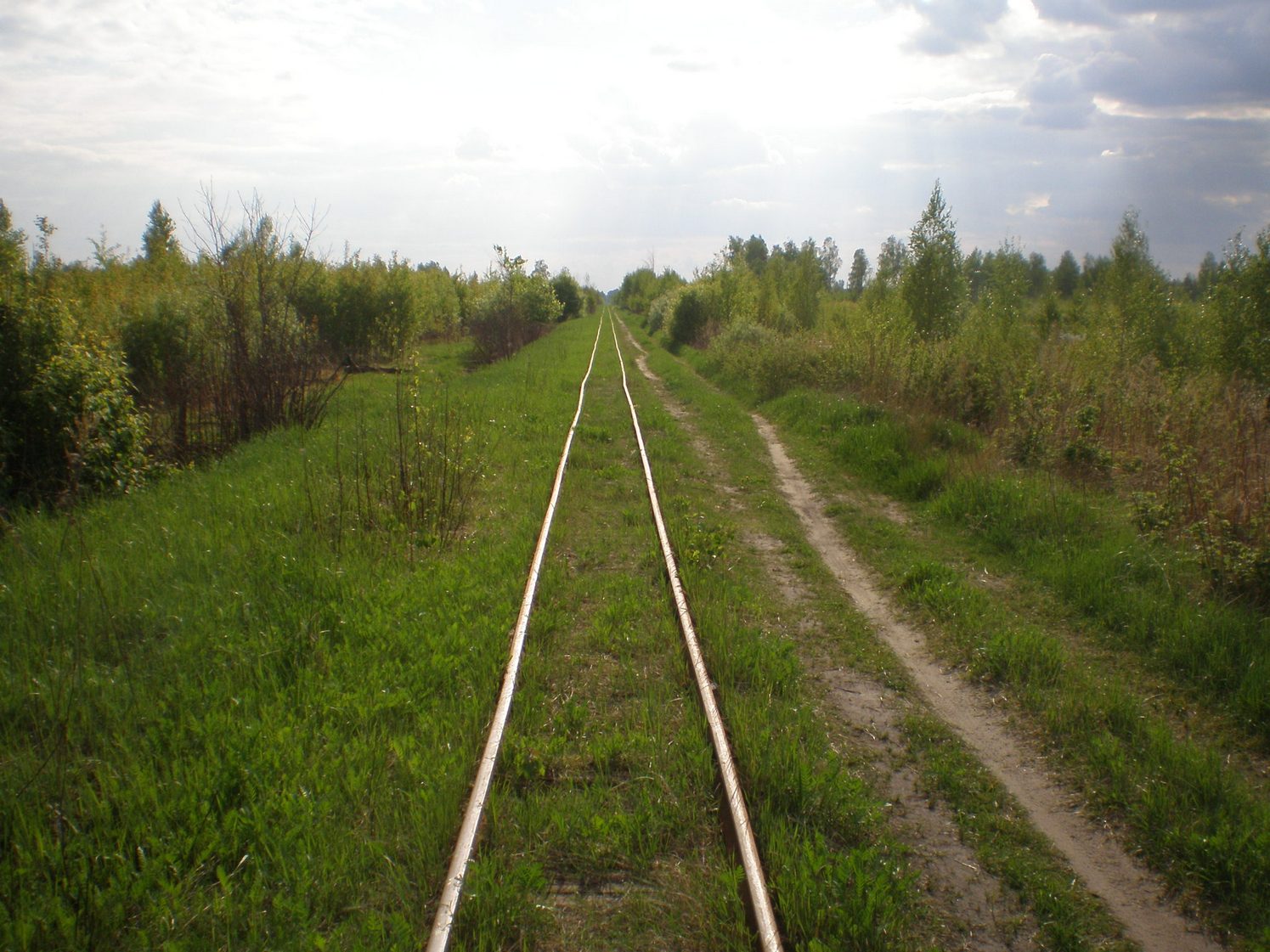 Узкоколейная железная дорога Шатурского транспортного управления — фотографии, сделанные в 2009 году (часть 11)