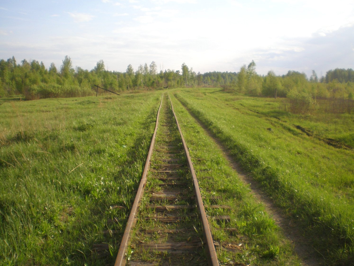 Узкоколейная железная дорога Шатурского транспортного управления — фотографии, сделанные в 2009 году (часть 15)