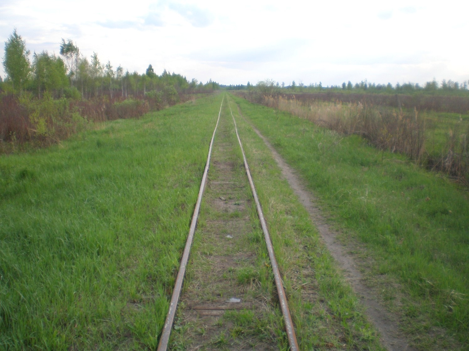 Узкоколейная железная дорога Шатурского транспортного управления — фотографии, сделанные в 2009 году (часть 16)