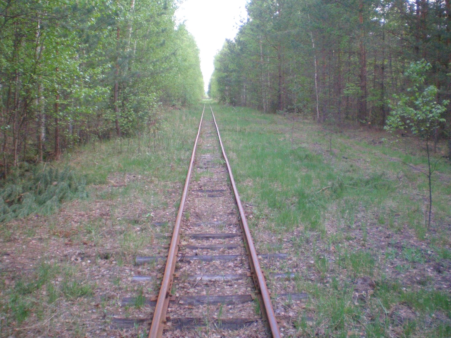 Узкоколейная железная дорога Шатурского транспортного управления — фотографии, сделанные в 2009 году (часть 17)