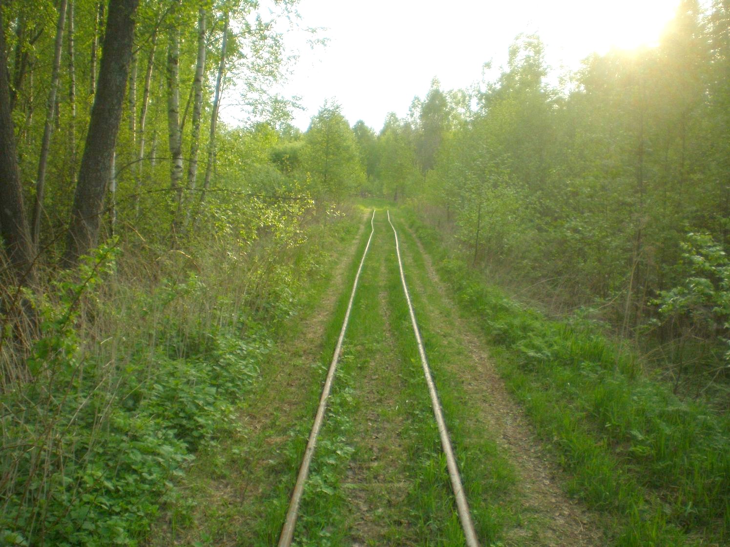 Узкоколейная железная дорога Шатурского транспортного управления — фотографии, сделанные в 2009 году (часть 18)