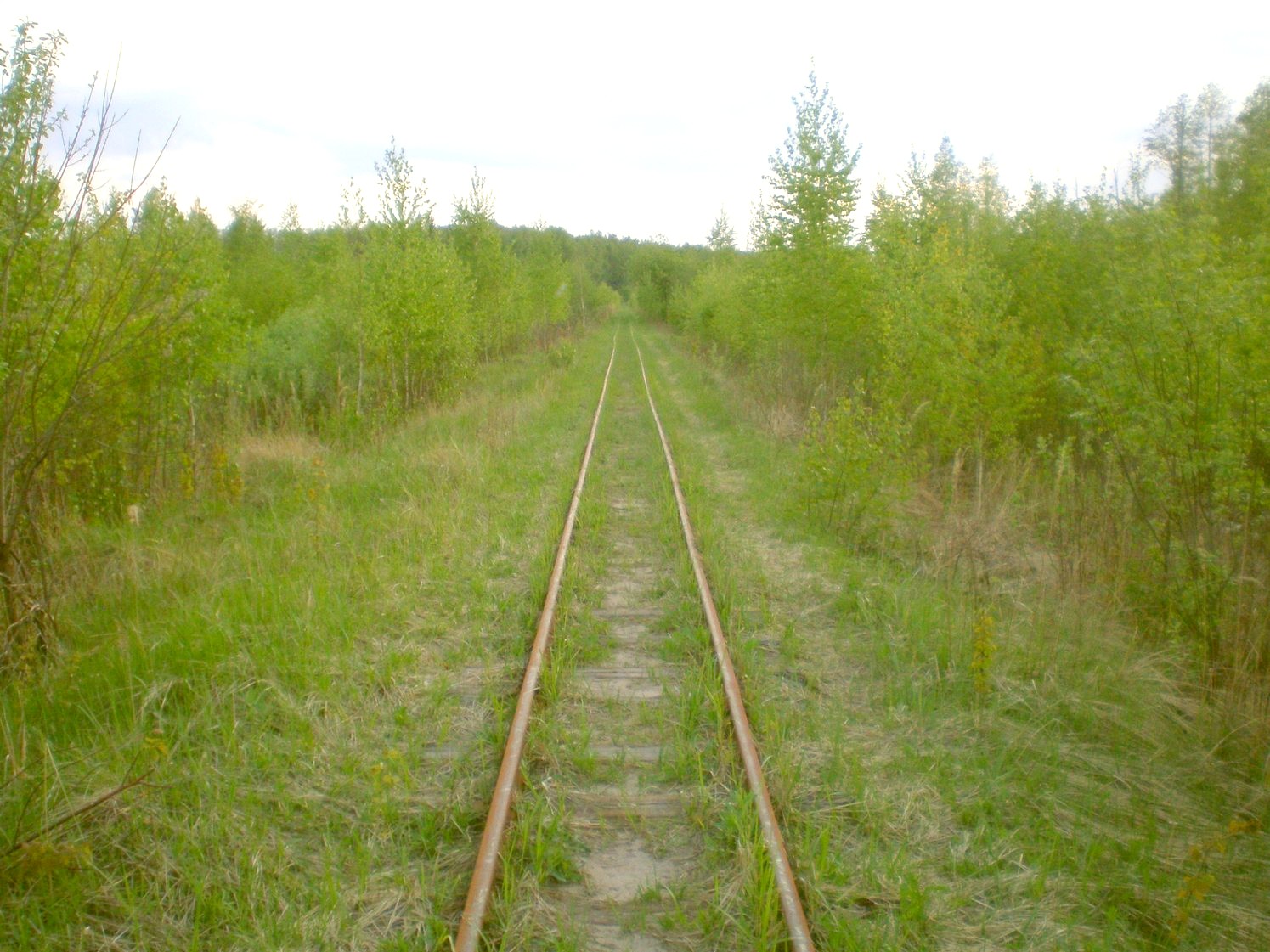 Узкоколейная железная дорога Шатурского транспортного управления — фотографии, сделанные в 2009 году (часть 19)