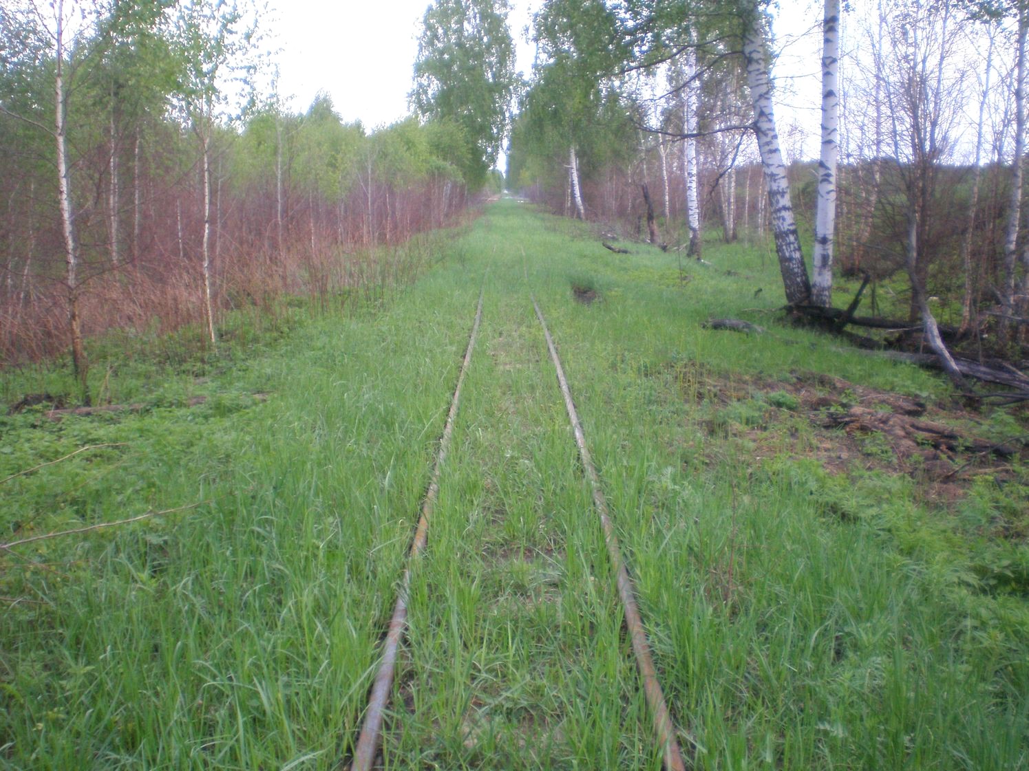 Узкоколейная железная дорога Шатурского транспортного управления — фотографии, сделанные в 2009 году (часть 38)