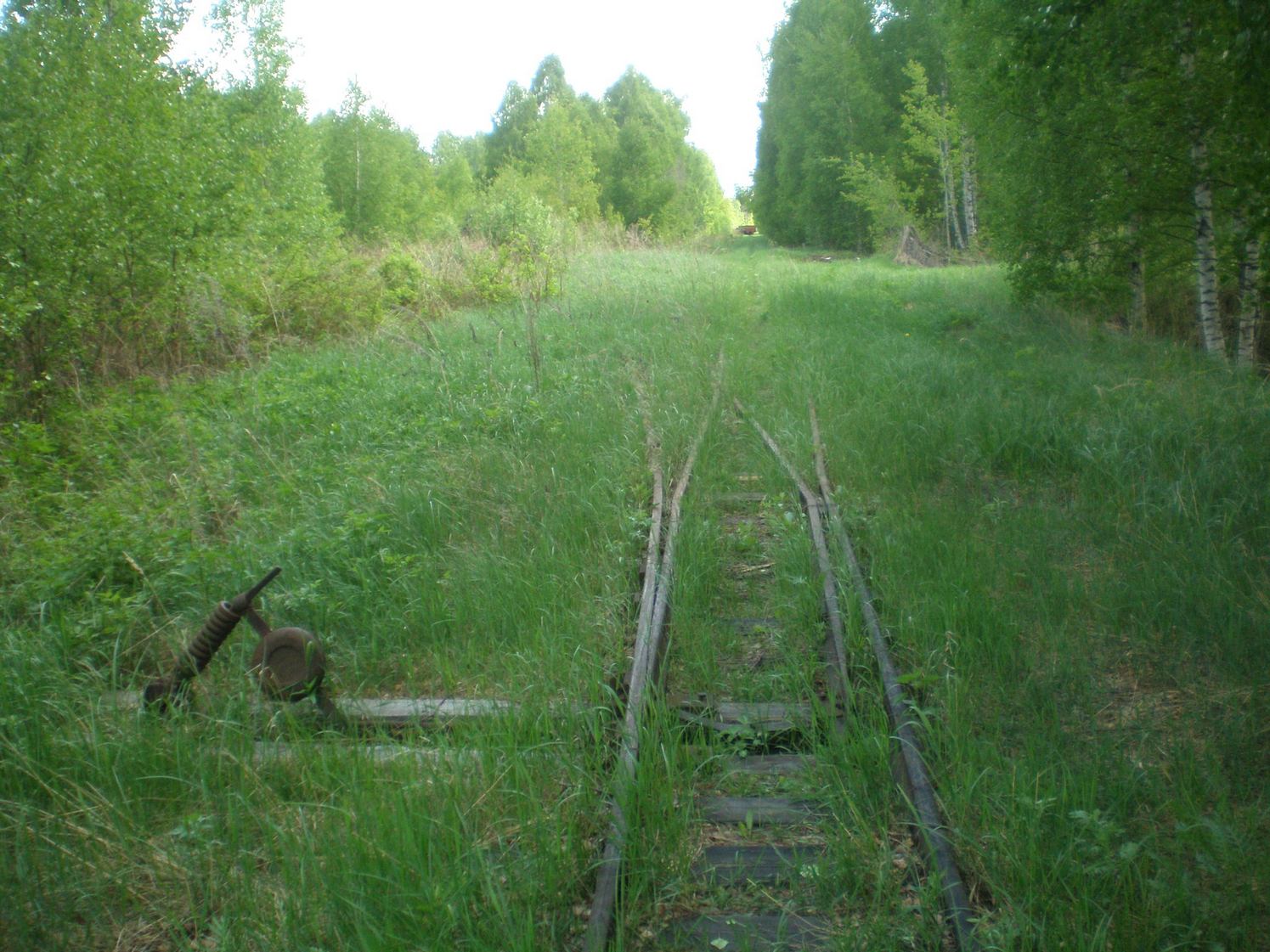 Узкоколейная железная дорога Шатурского транспортного управления — фотографии, сделанные в 2009 году (часть 45)