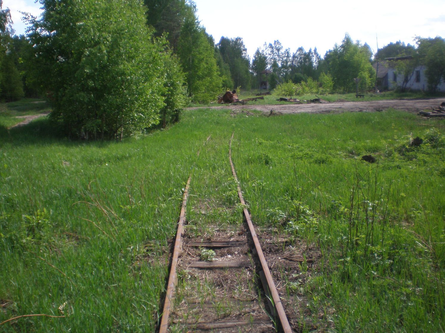 Узкоколейная железная дорога Шатурского транспортного управления — фотографии, сделанные в 2009 году (часть 46)