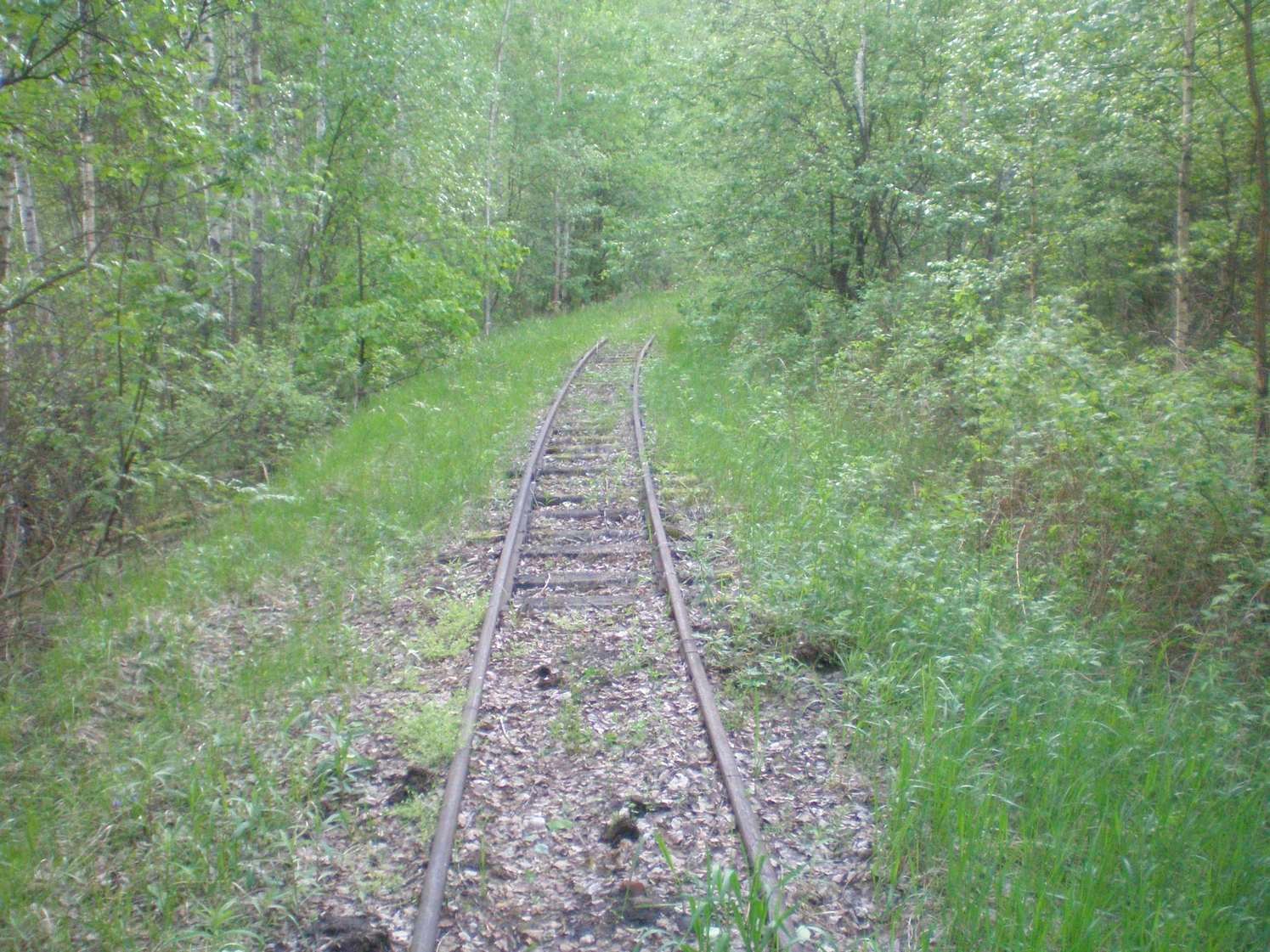 Узкоколейная железная дорога Шатурского транспортного управления — фотографии, сделанные в 2009 году (часть 48)
