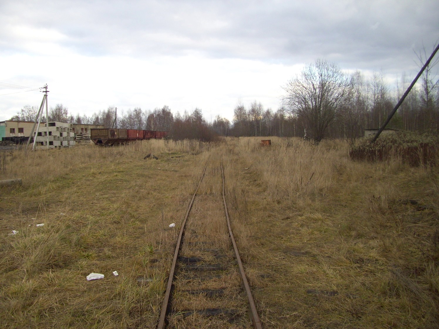 Узкоколейная железная дорога Шатурского транспортного управления — фотографии, сделанные в 2009 году (часть 50)