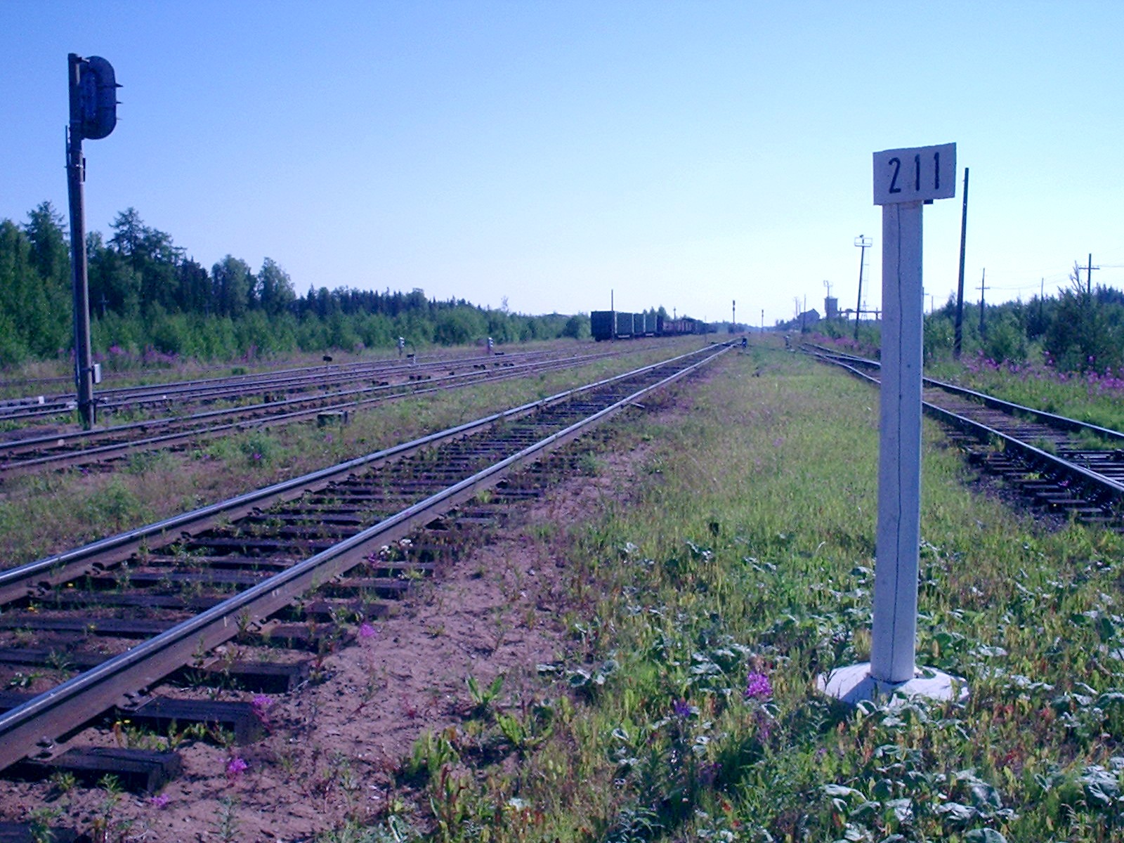 Железнодорожная линия Архангельск — Карпогоры — фотографии, сделанные в 2005 году (часть 2)