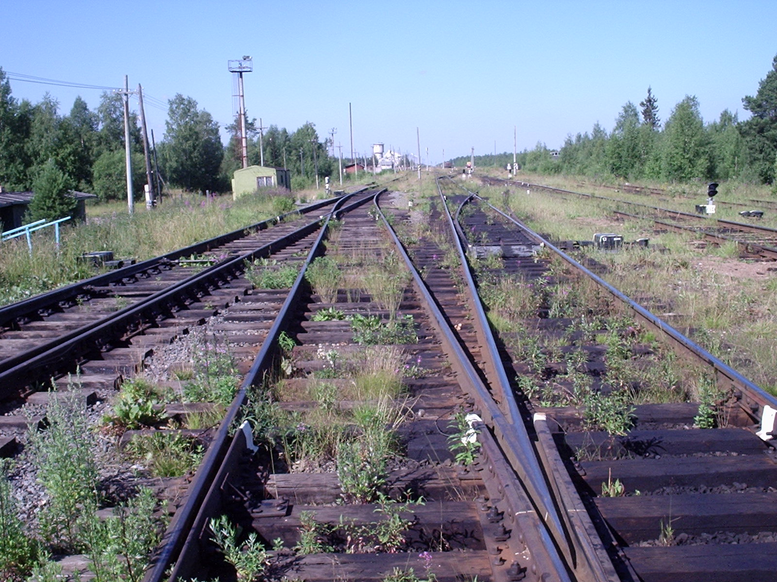 Расписание поездов архангельск карпогоры. Железная дорога Архангельск Карпогоры. Линия Архангельск Карпогоры. ЖД ветка Архангельск Карпогоры. Дорога Архангельск Карпогоры.