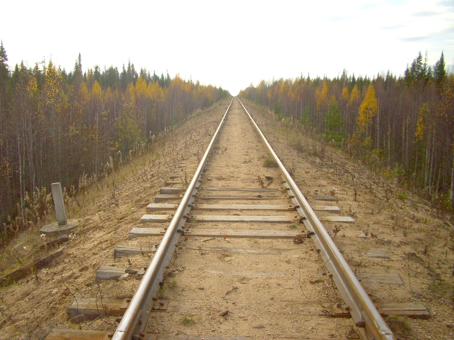 Мезенская железная дорога
  —  фотографии, сделанные в 2010 году (часть 10)