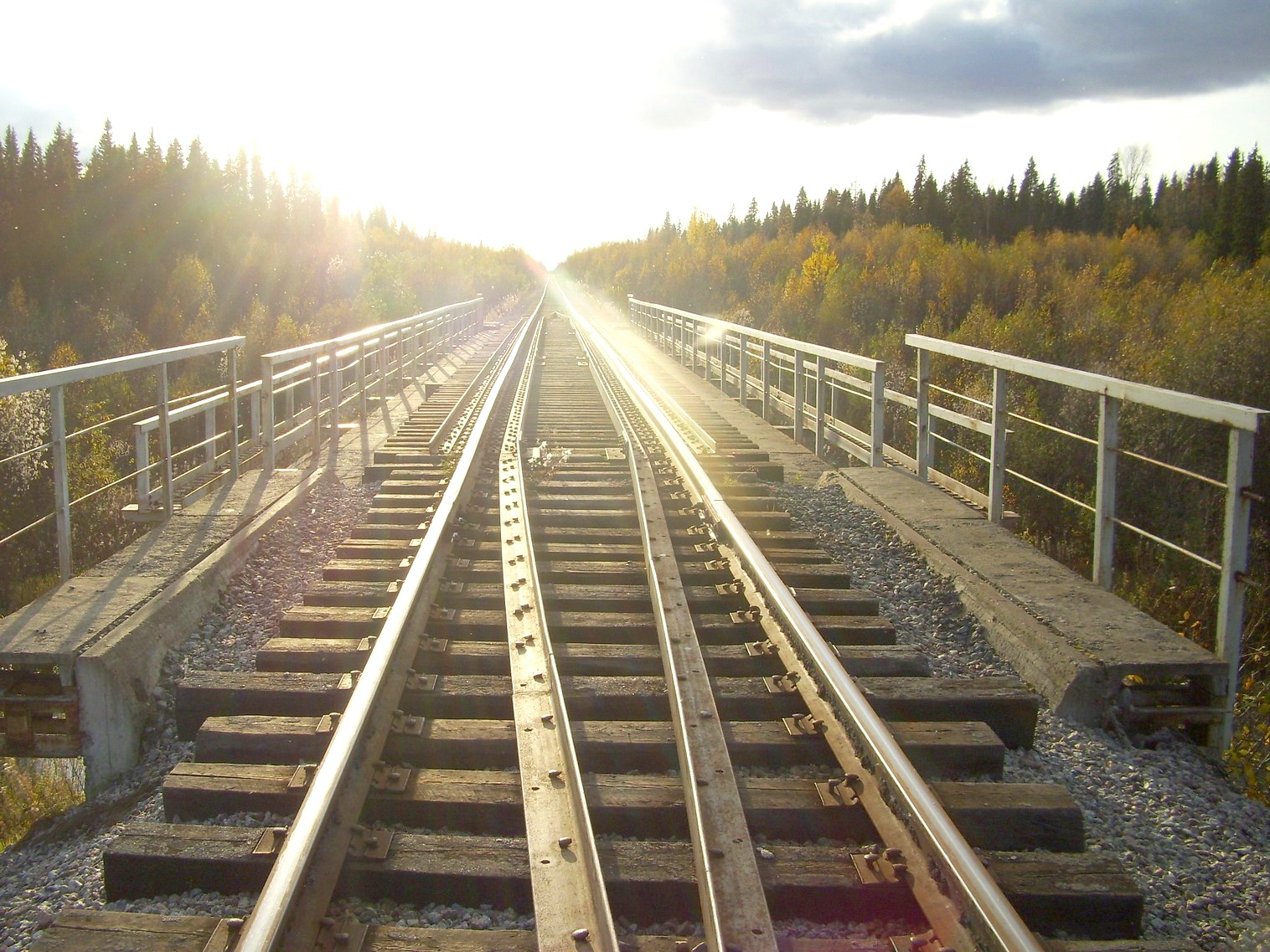 Мезенская железная дорога
  —  фотографии, сделанные в 2010 году (часть 14)