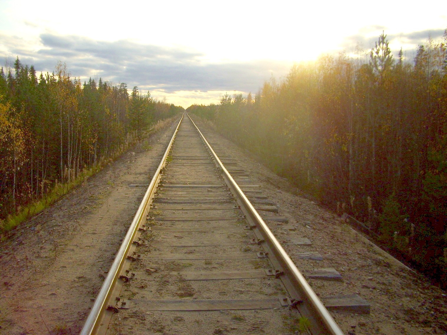 Мезенская железная дорога
  —  фотографии, сделанные в 2010 году (часть 15)