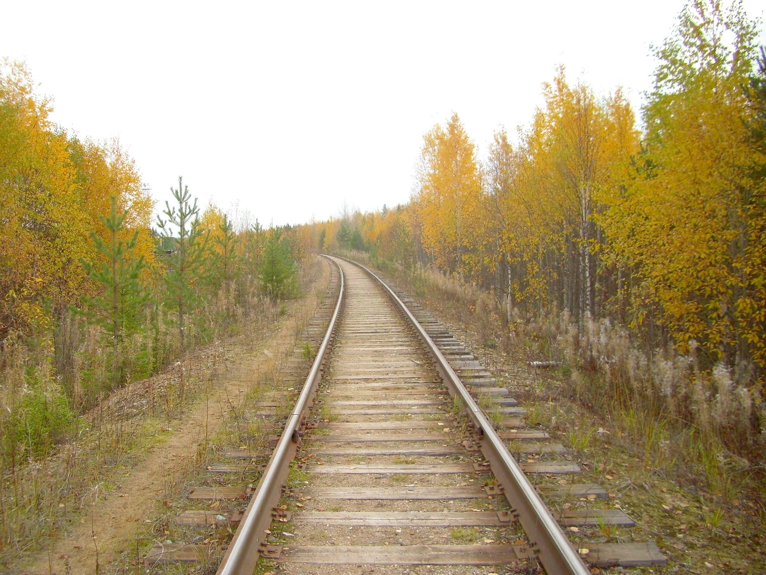 Мезенская железная дорога
  —  фотографии, сделанные в 2010 году (часть 3)