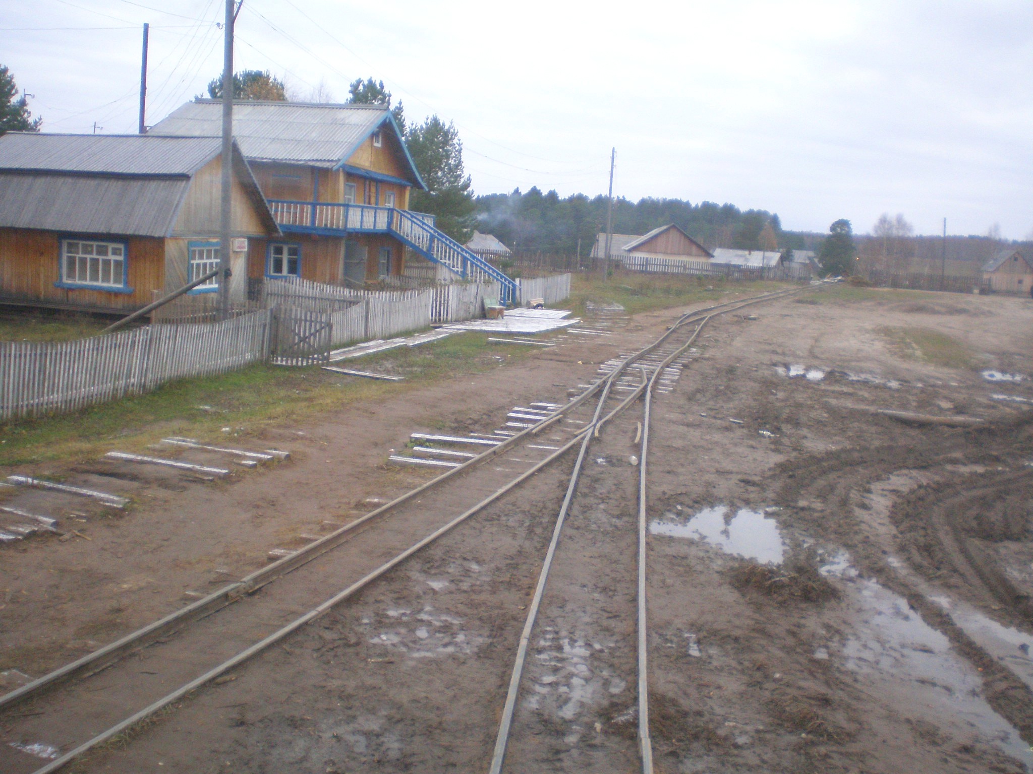 Пильвенская узкоколейная железная дорога  —  фотографии, сделанные в 2008 году (часть 1)