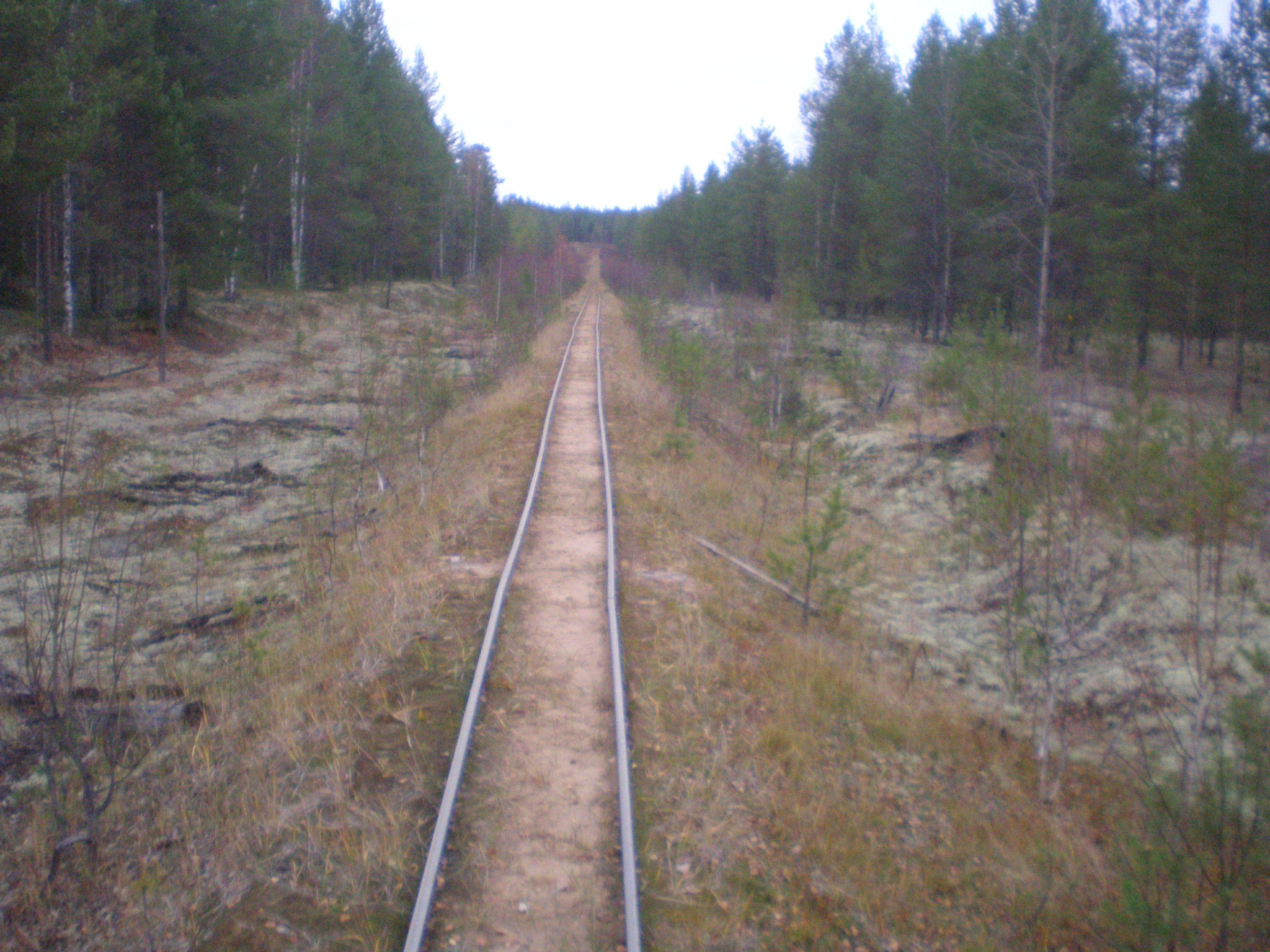 Пильвенская узкоколейная железная дорога  —  фотографии, сделанные в 2008 году (часть 9)