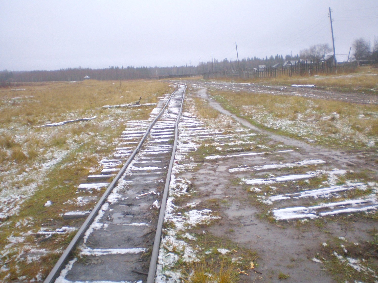 Пильвенская узкоколейная железная дорога  —  фотографии, сделанные в 2008 году (часть 12)