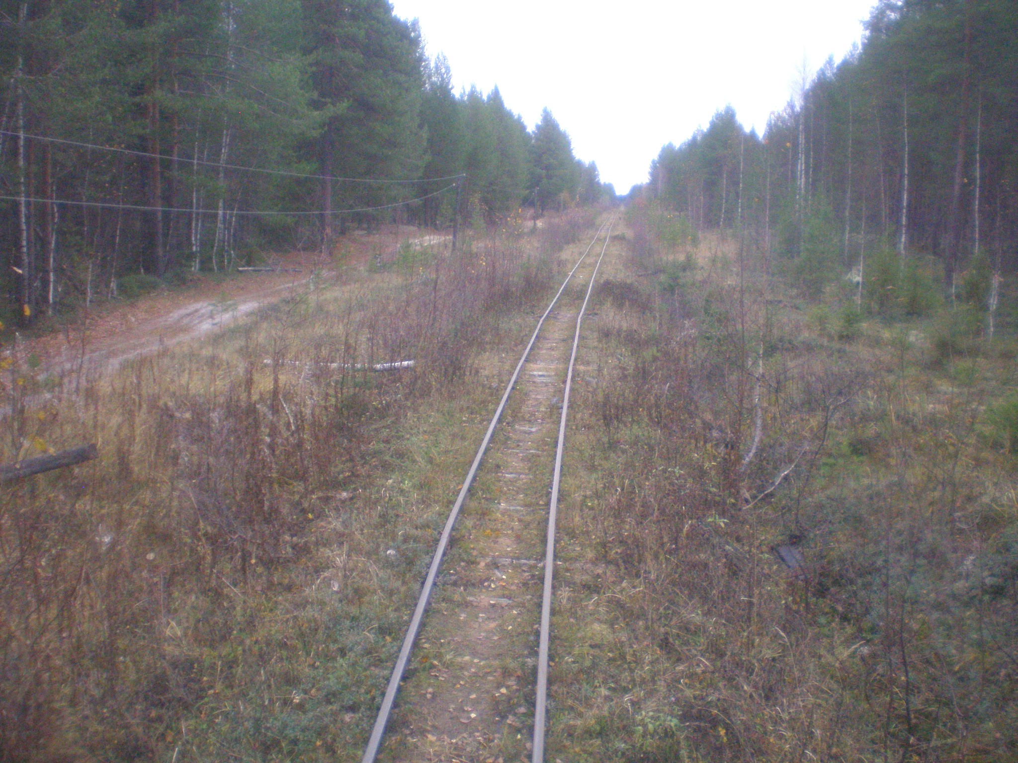 Пильвенская узкоколейная железная дорога  —  фотографии, сделанные в 2008 году (часть 3)