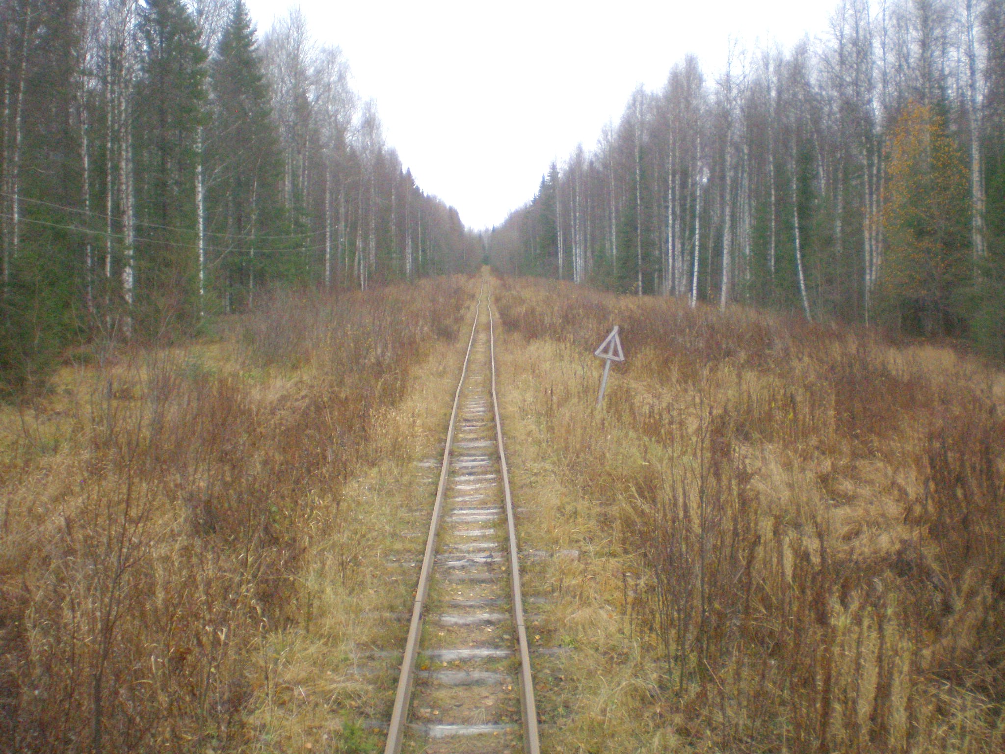 Пильвенская узкоколейная железная дорога  —  фотографии, сделанные в 2008 году (часть 4)