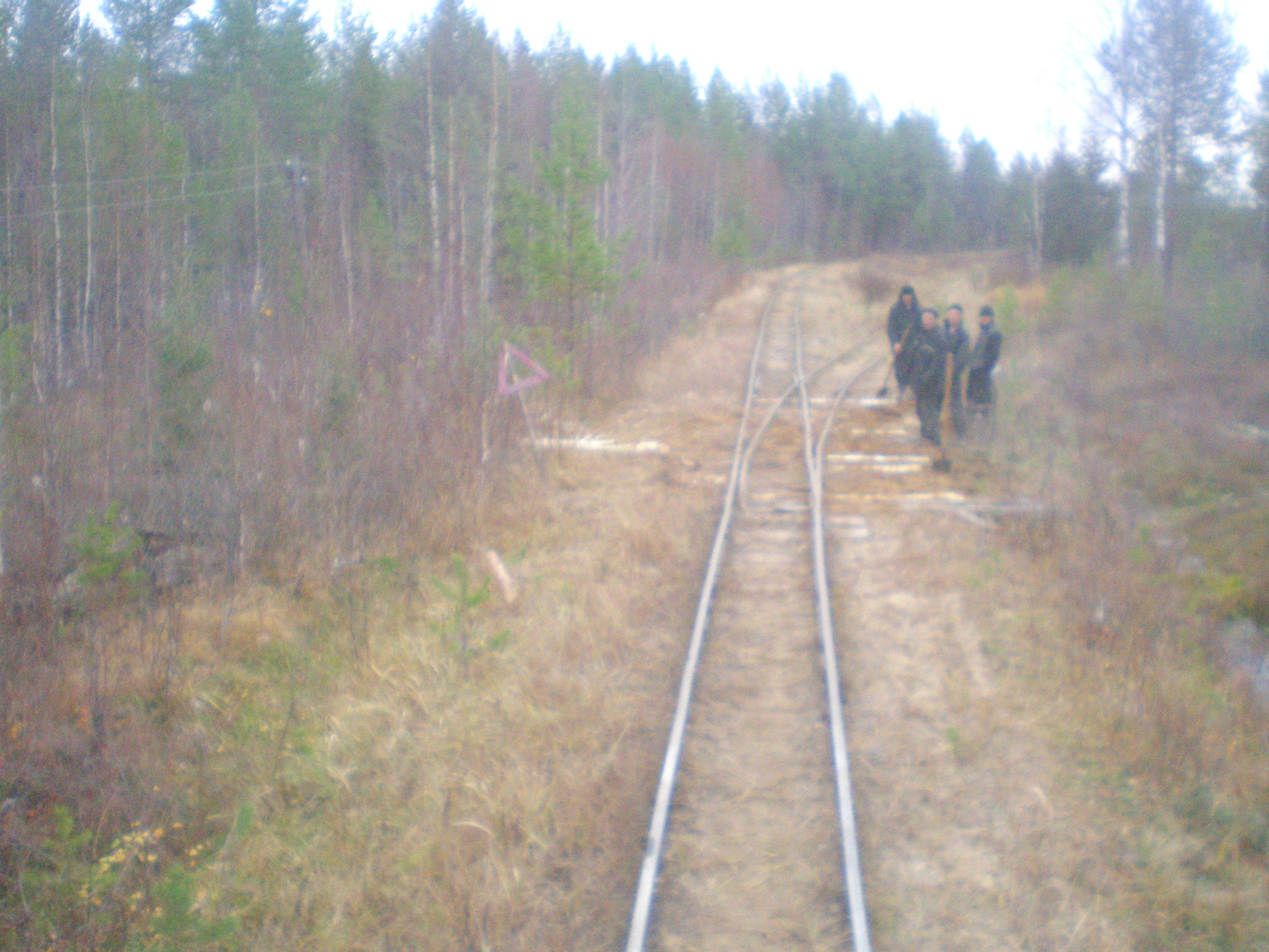 Пильвенская узкоколейная железная дорога  —  фотографии, сделанные в 2008 году (часть 5)
