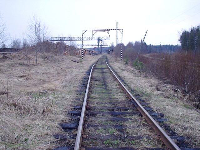 Пылинская узкоколейная железная дорога    —  фотографии, сделанные в 2005 году